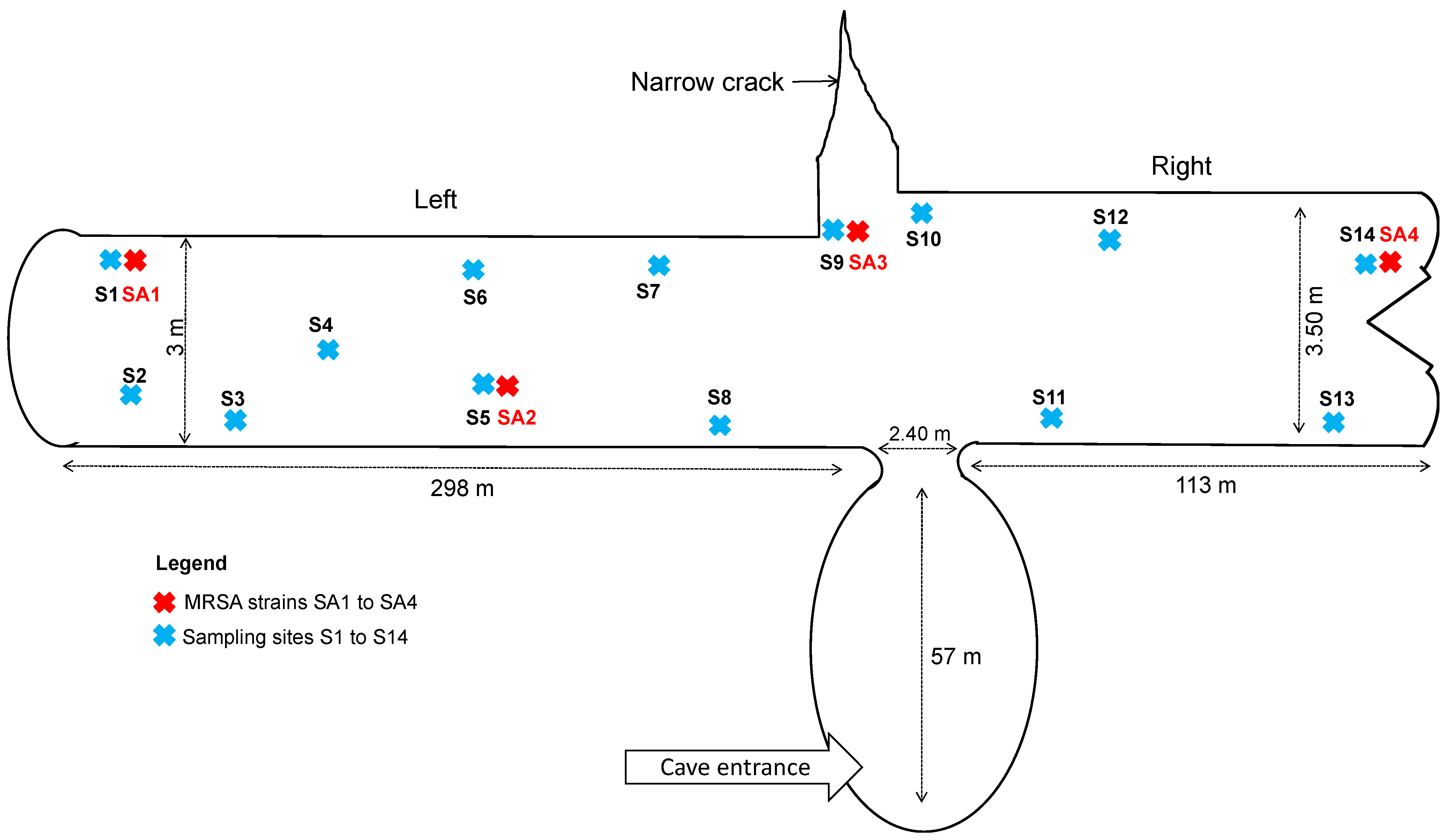 Microorganisms 09 02264 g001 550