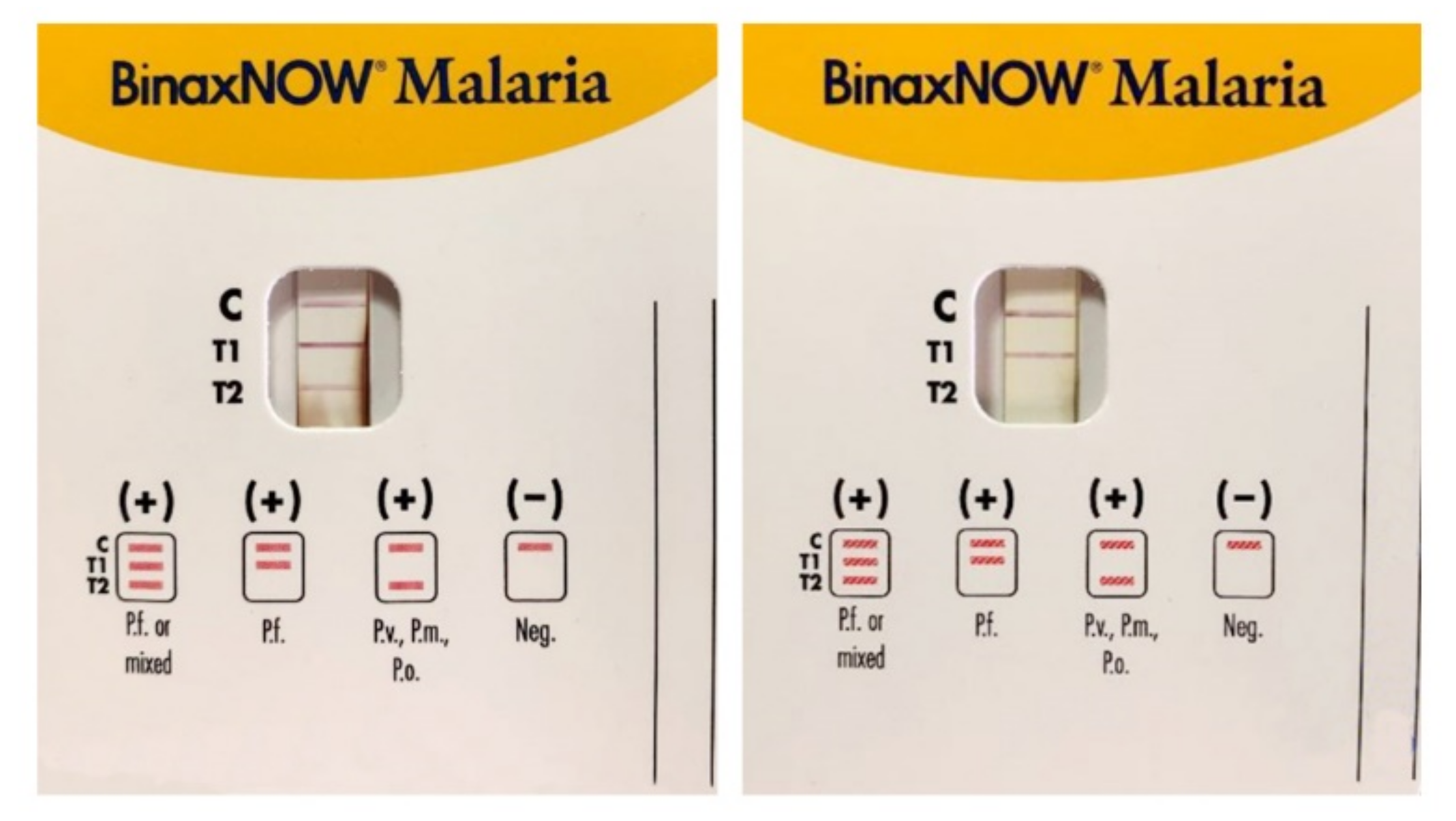 Microorganisms 09 02265 g003 Microorganisms 09 02265 g003