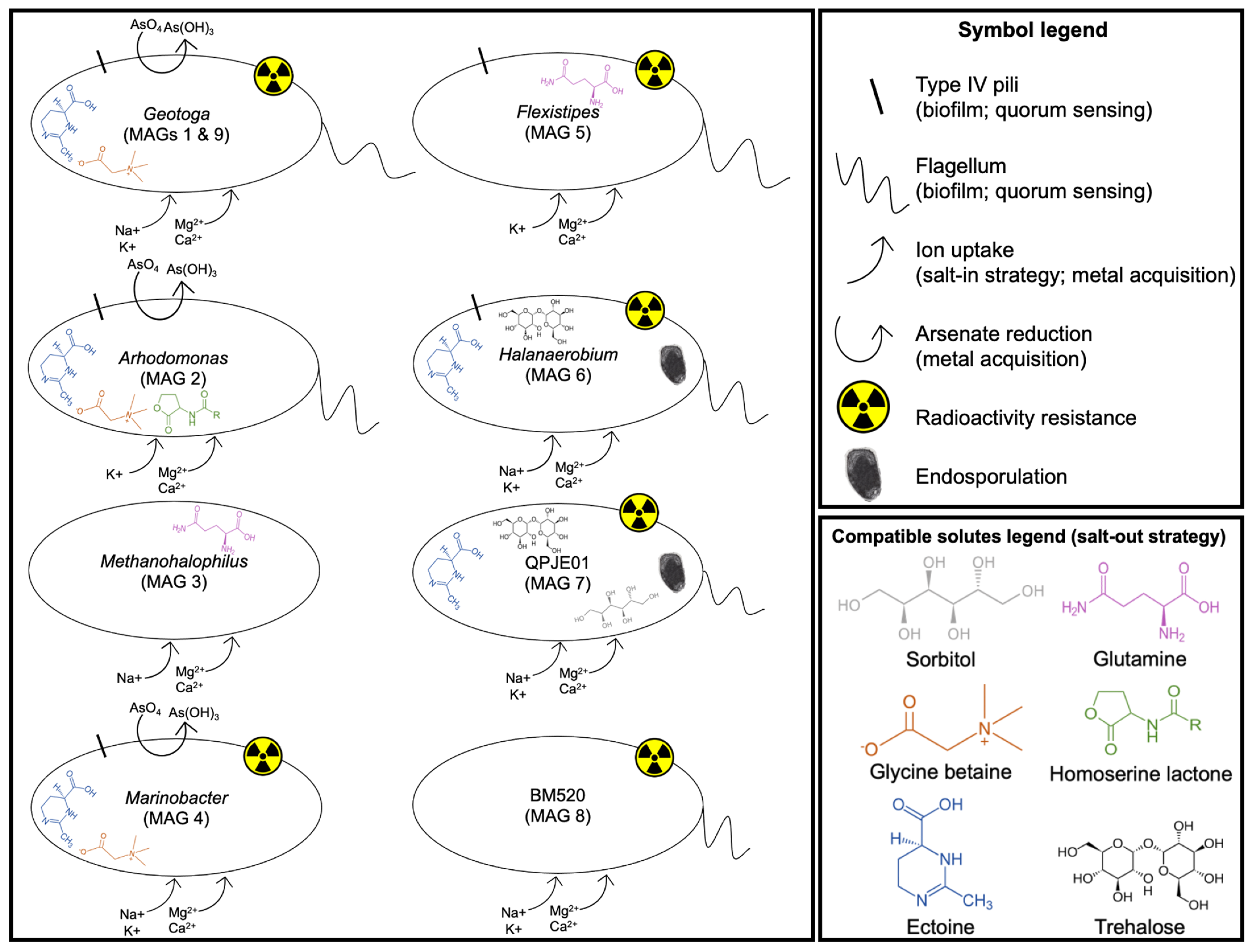 Microorganisms 09 02266 g005 Microorganisms 09 02266 g005