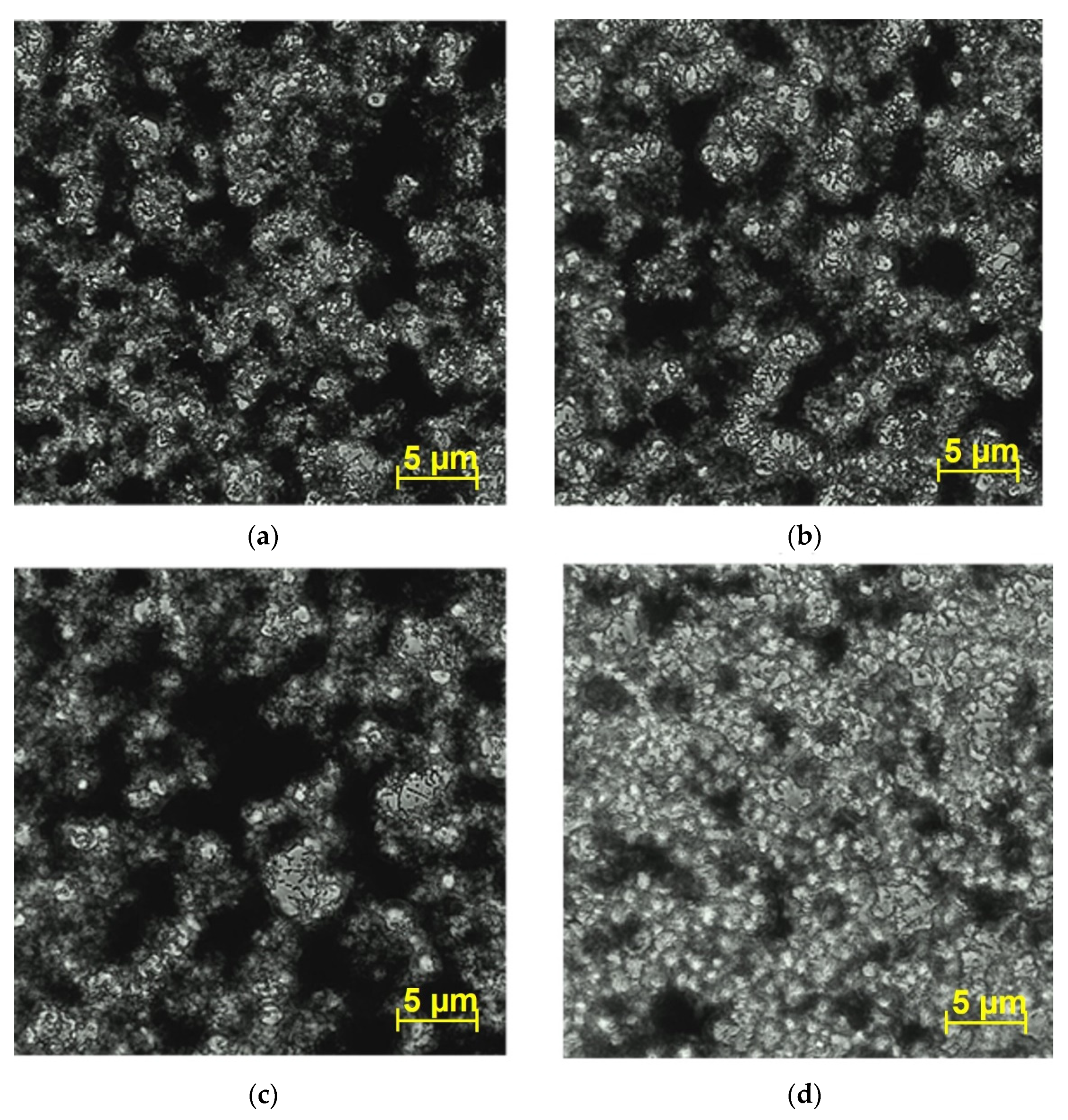 Microorganisms 09 02273 g006 Microorganisms 09 02273 g006
