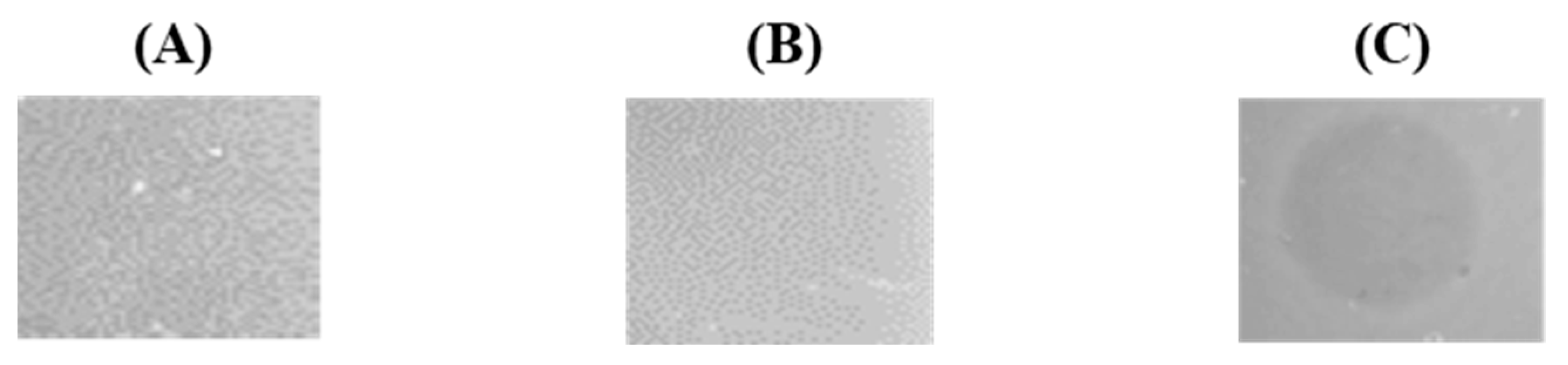 Microorganisms 09 02276 g005 550