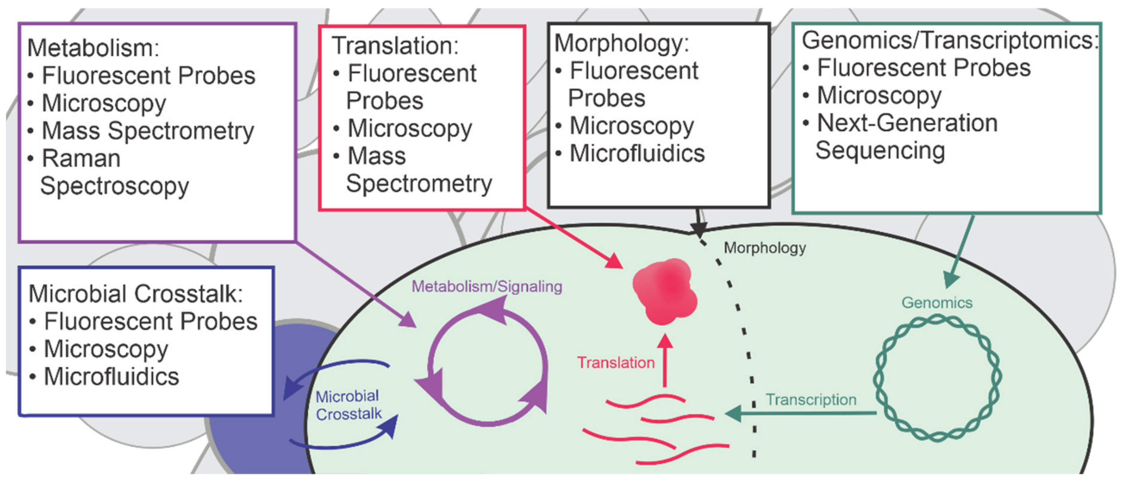 Dependence of the EGAM-thermal deuterium energy exchange on the EGAM