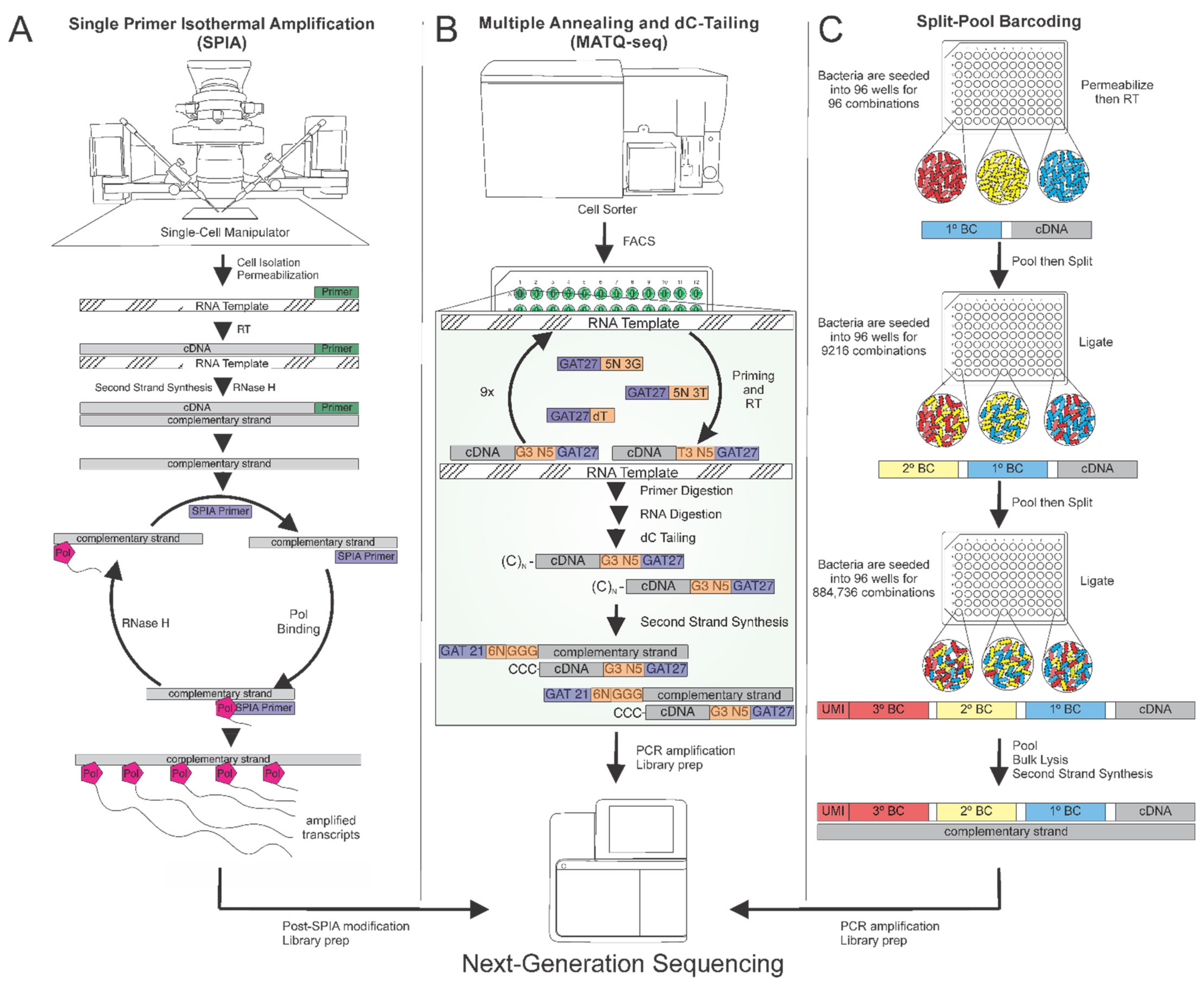 Microorganisms 09 02277 g004 Microorganisms 09 02277 g004