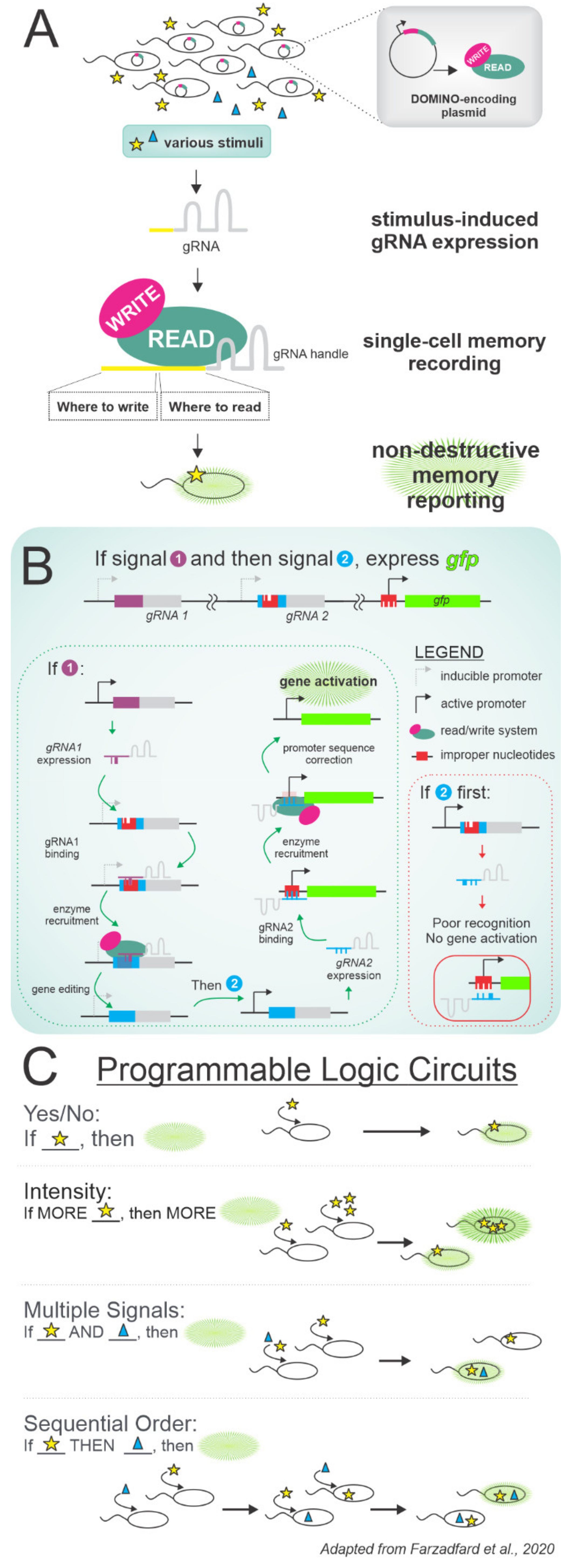 Microorganisms 09 02277 g006 Microorganisms 09 02277 g006