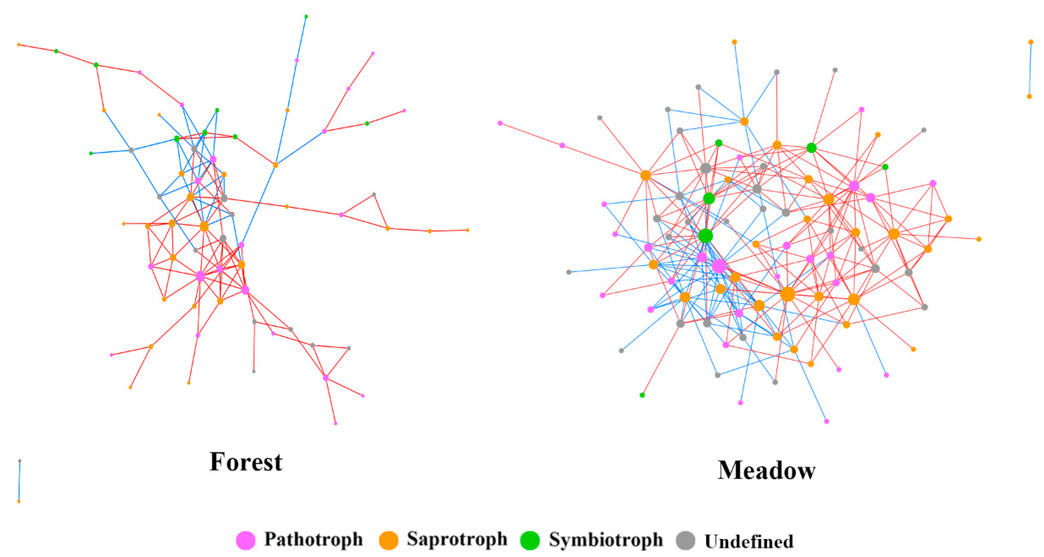 Microorganisms 09 02280 g005