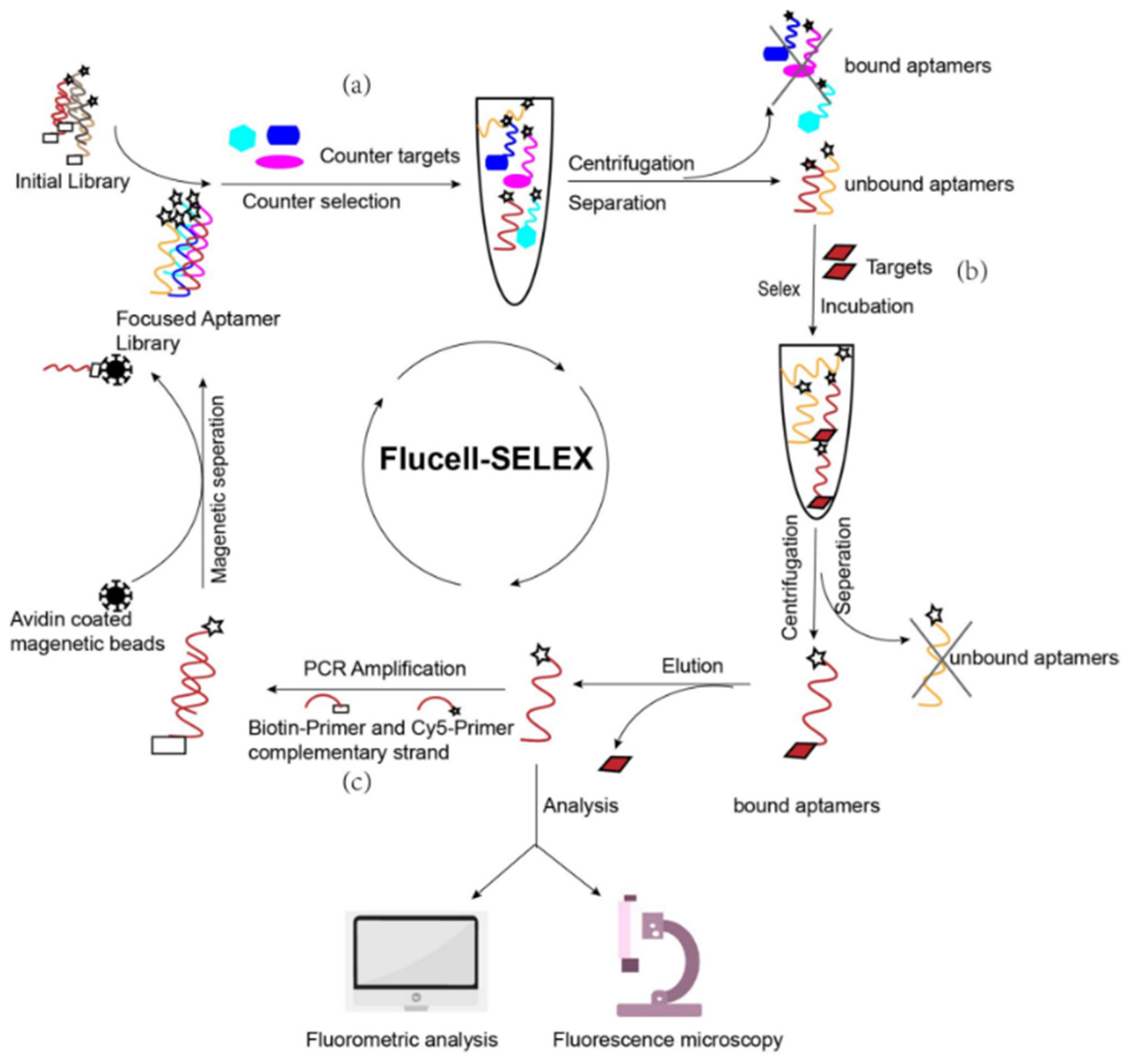 Microorganisms 09 02284 g001 550