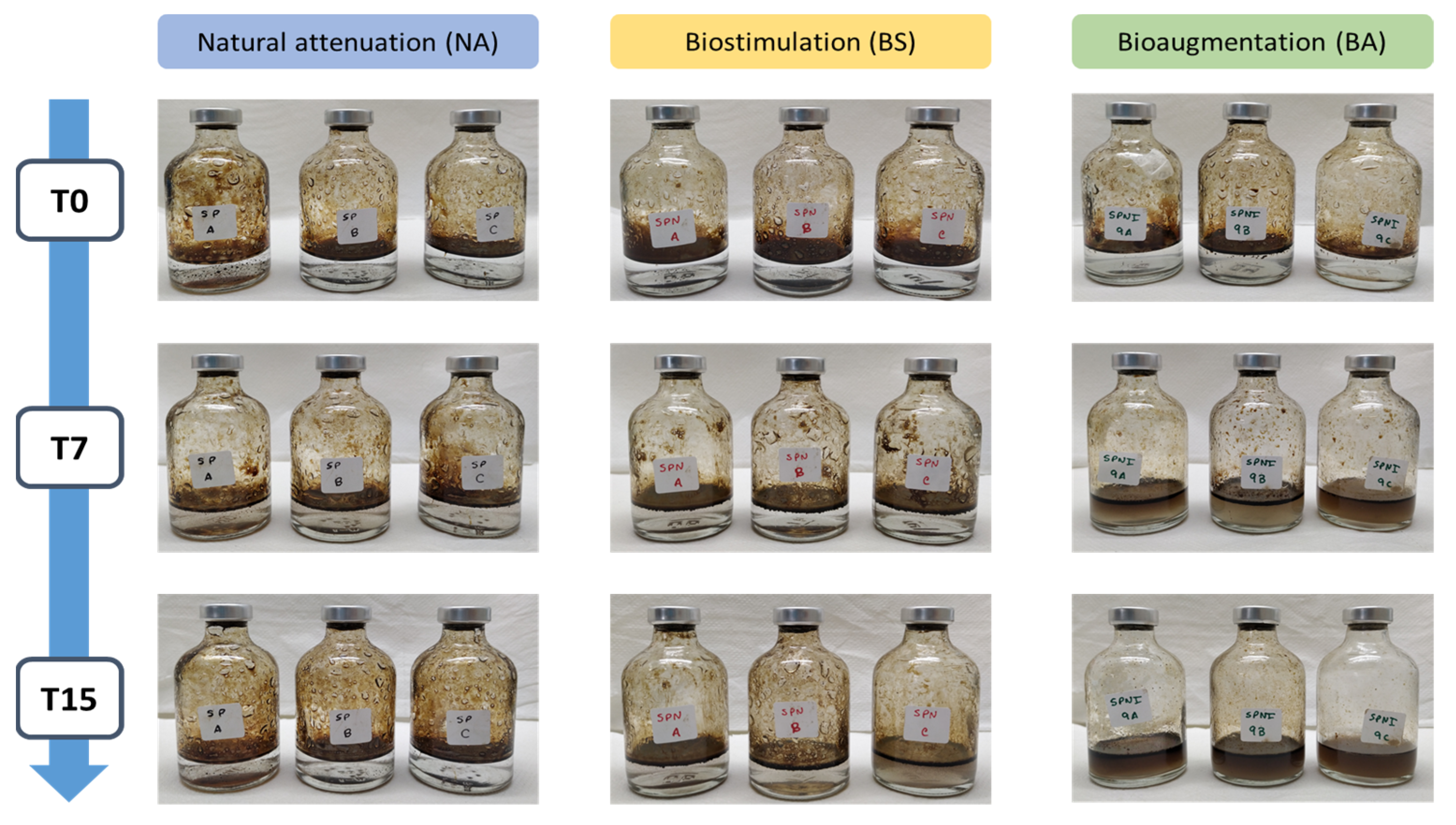 Microorganisms 09 02285 g003