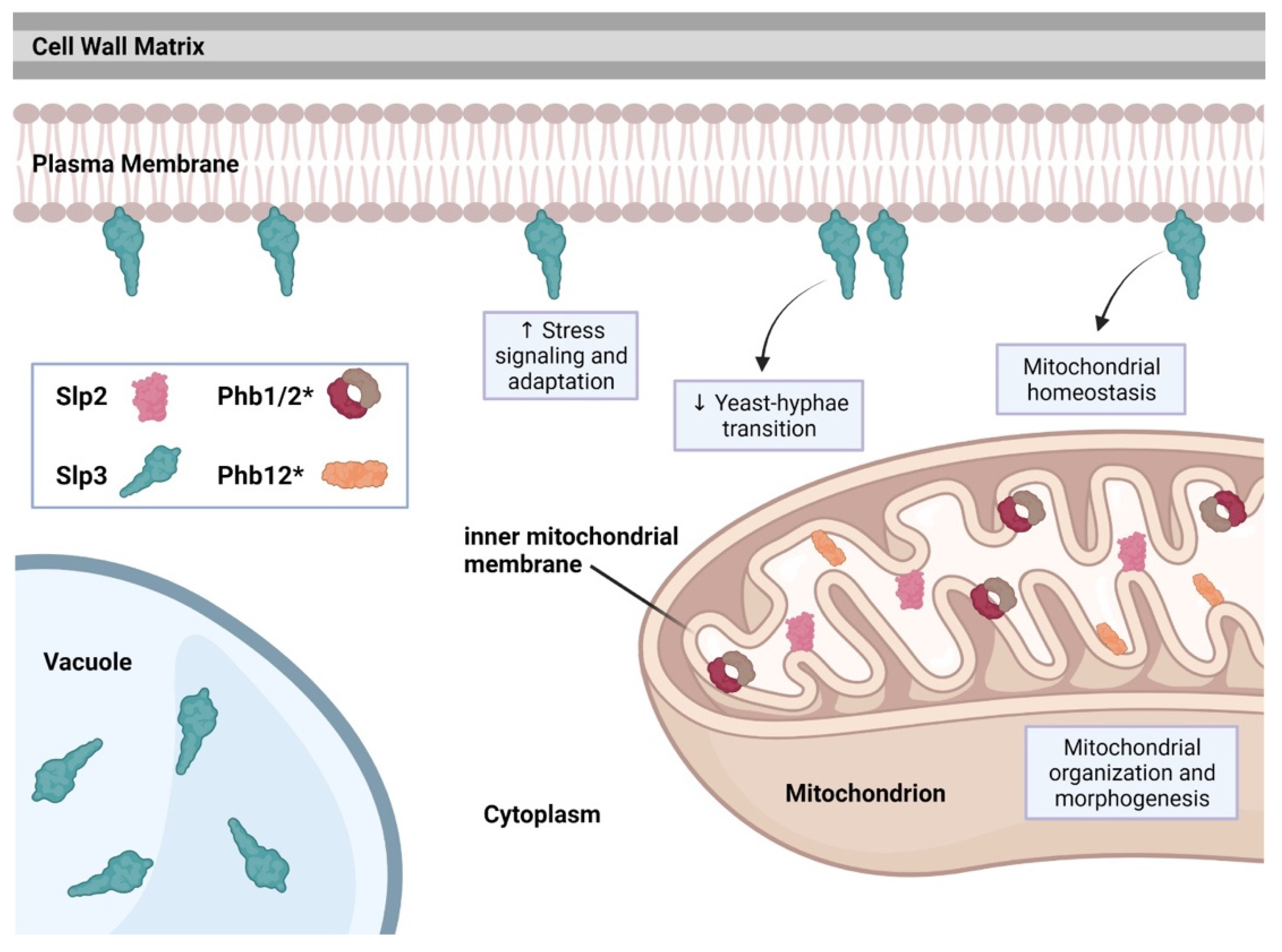 Microorganisms 09 02287 g002 Microorganisms 09 02287 g002
