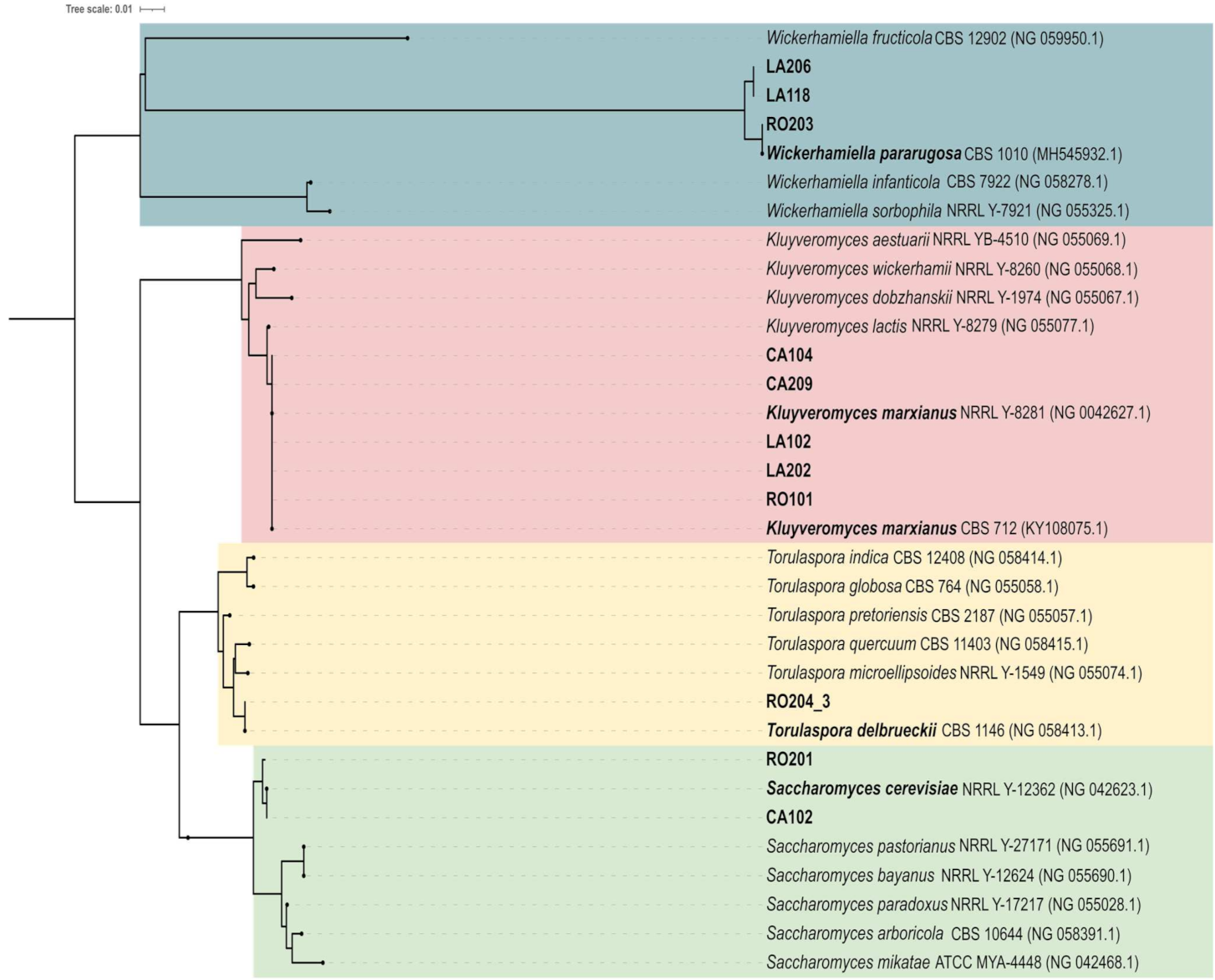 Microorganisms 09 02288 g001