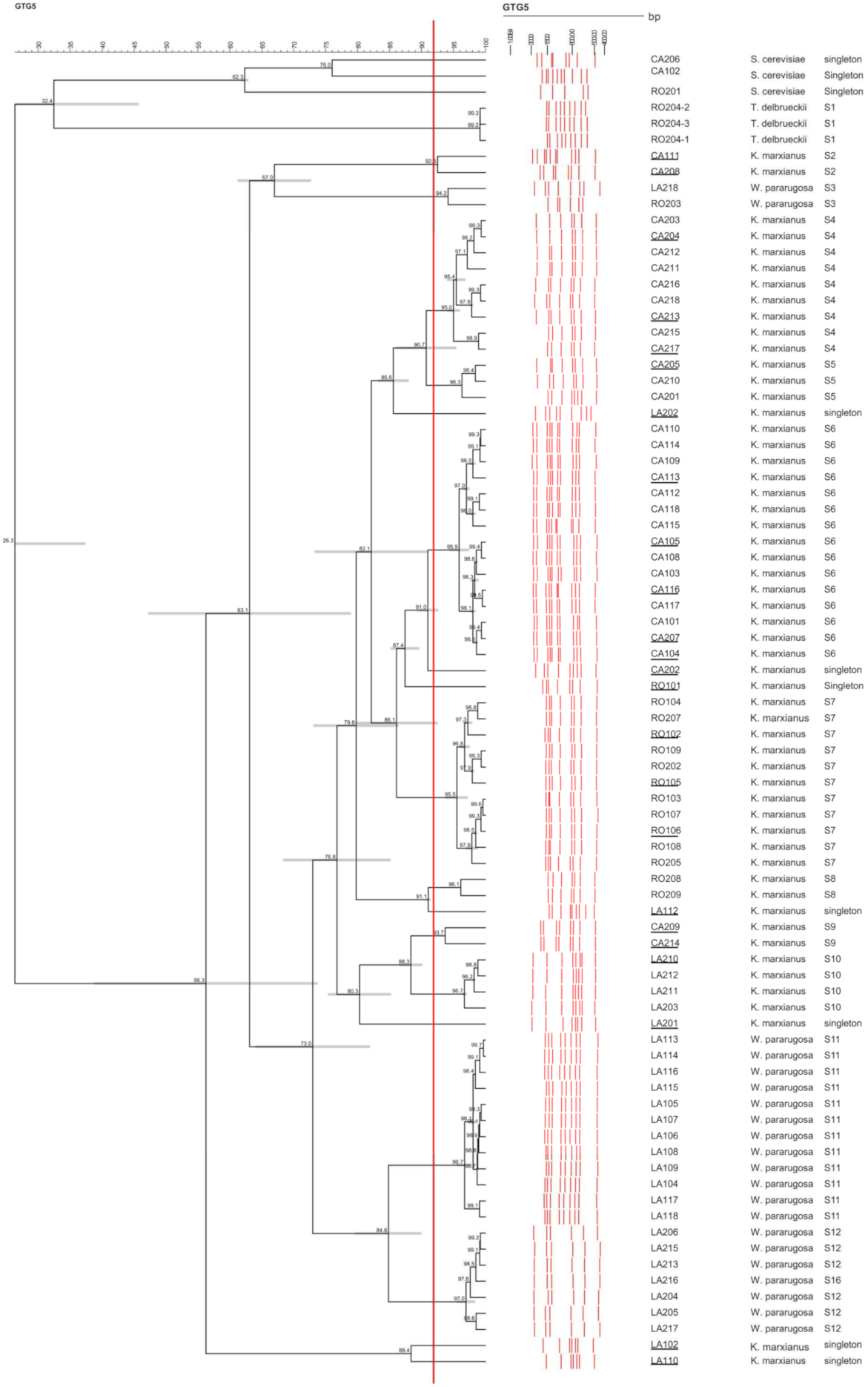 Microorganisms 09 02288 g002