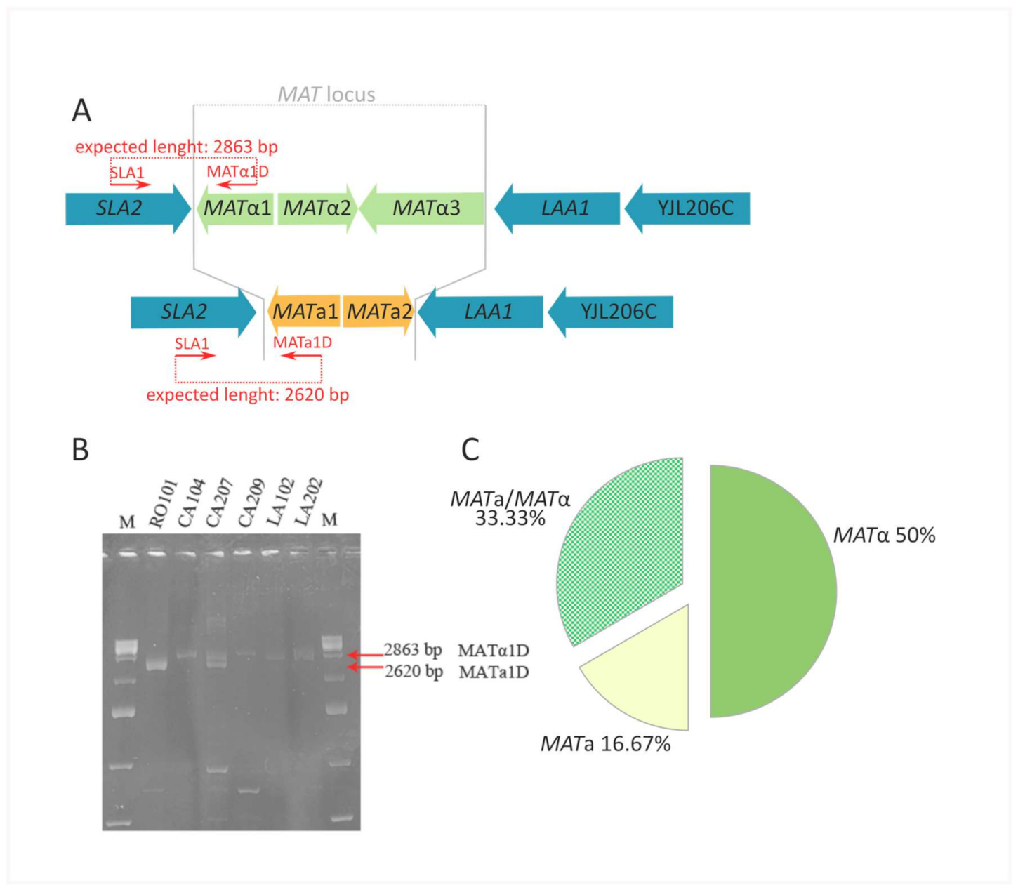 Microorganisms 09 02288 g004