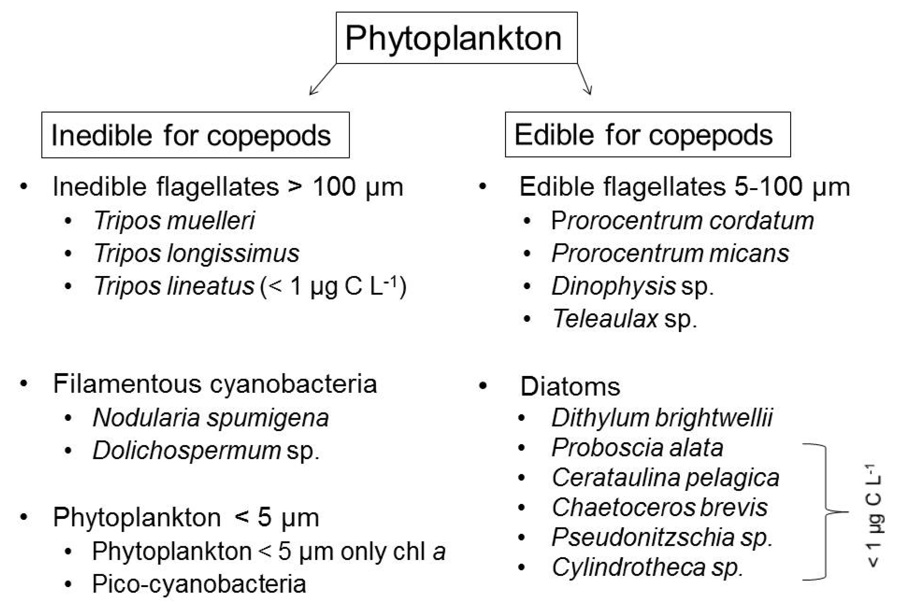 Microorganisms 09 02294 g001 550