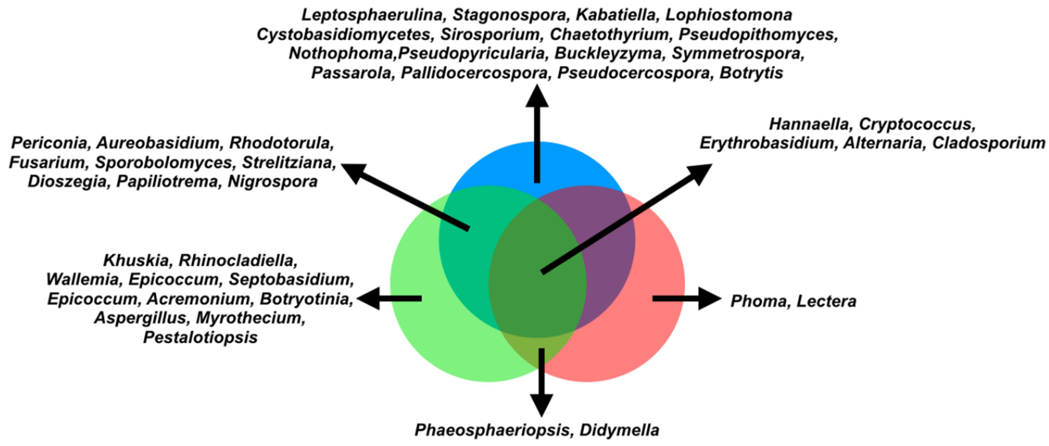 Microorganisms 09 02296 g002