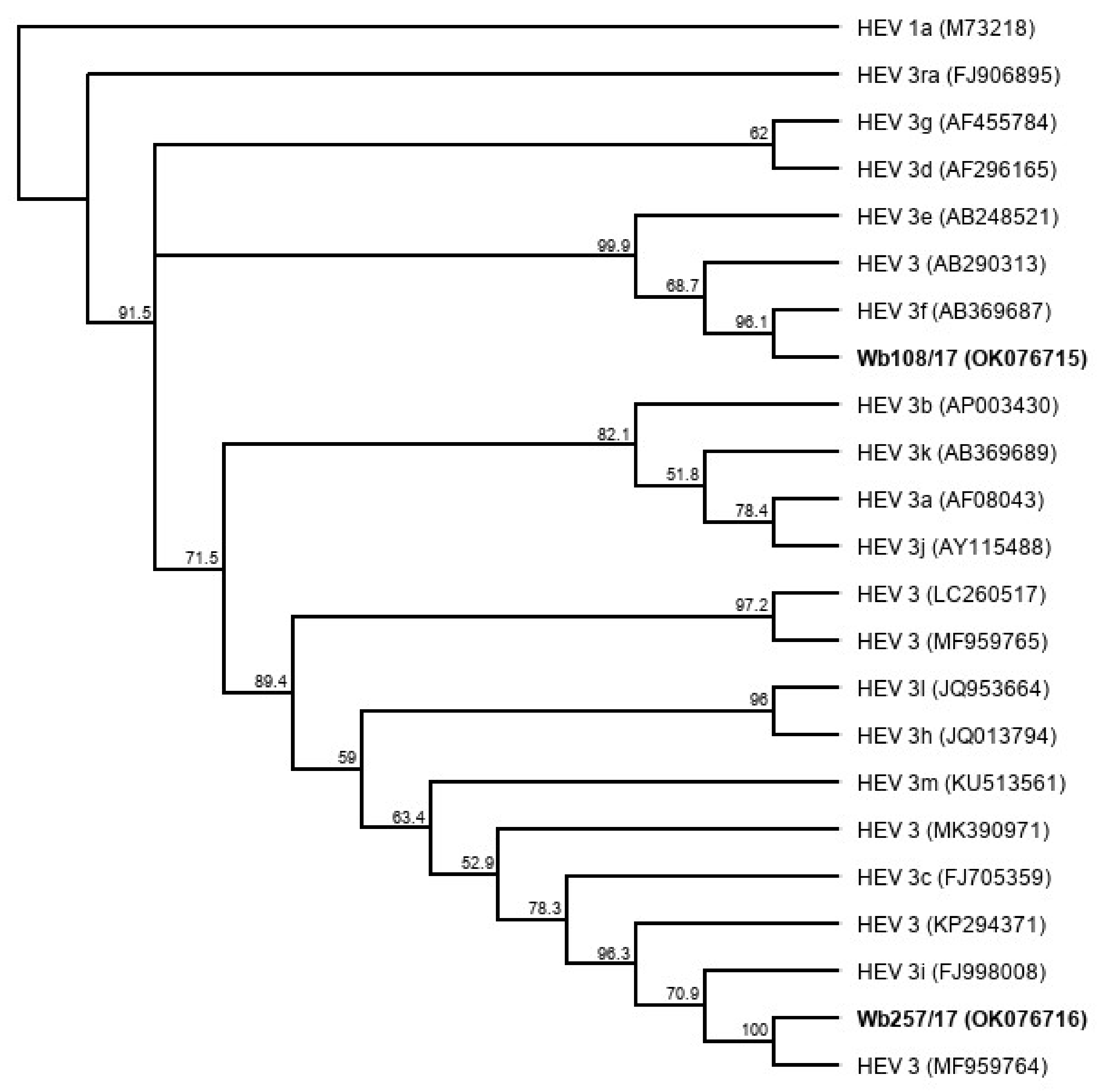 Microorganisms 09 02302 g006 550