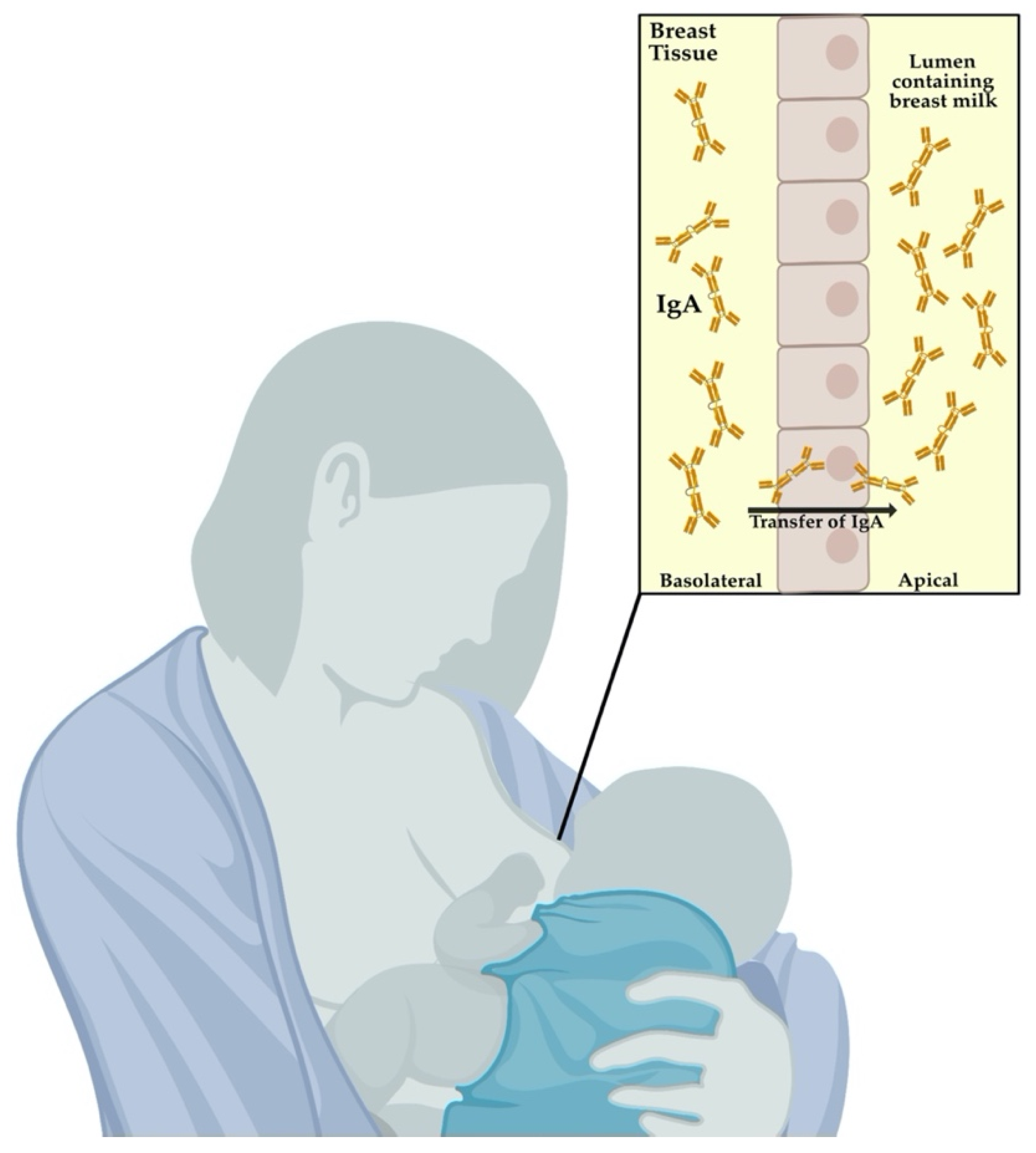 Microorganisms 09 02305 g002 Microorganisms 09 02305 g002
