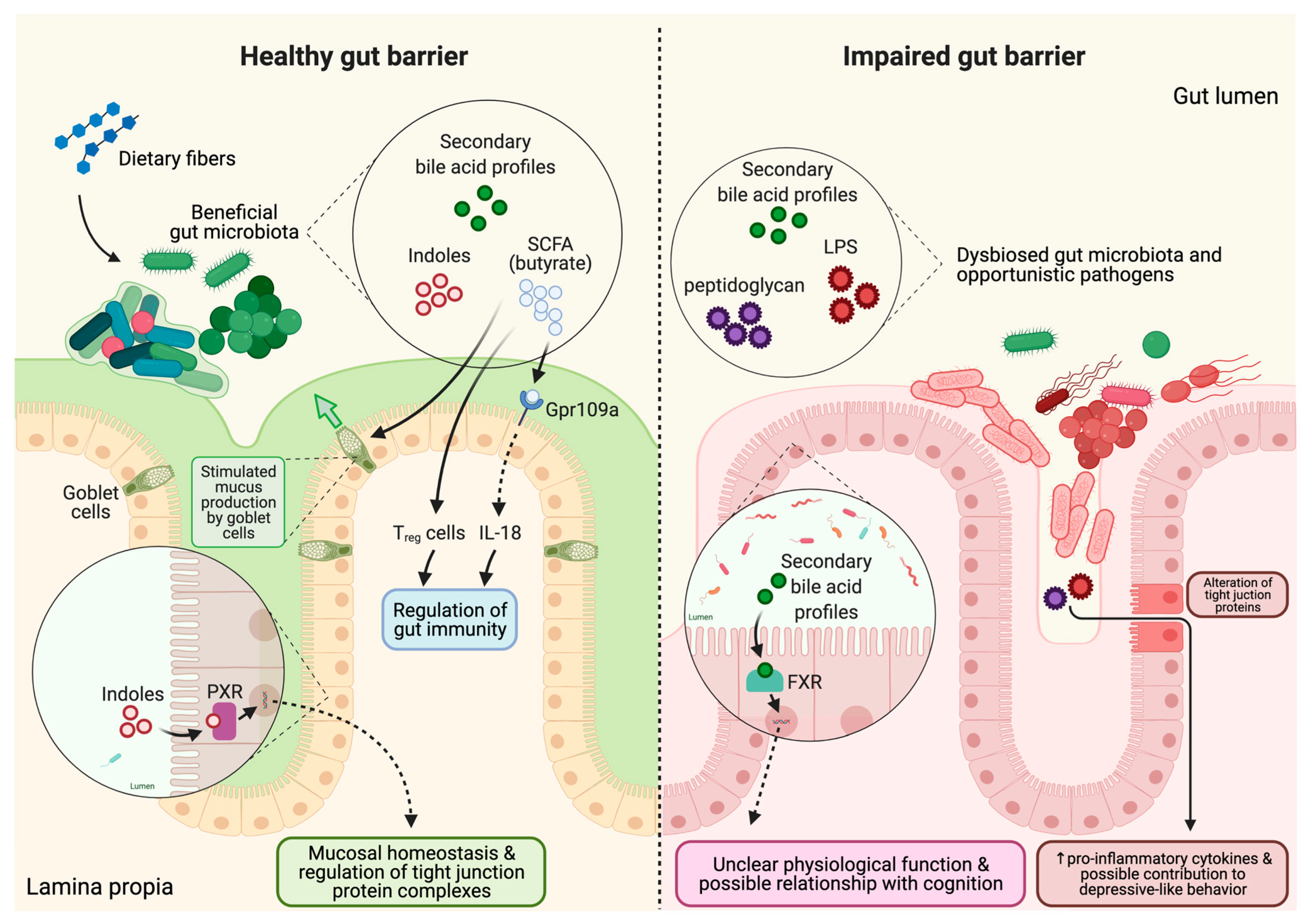 Microorganisms 09 02310 g002