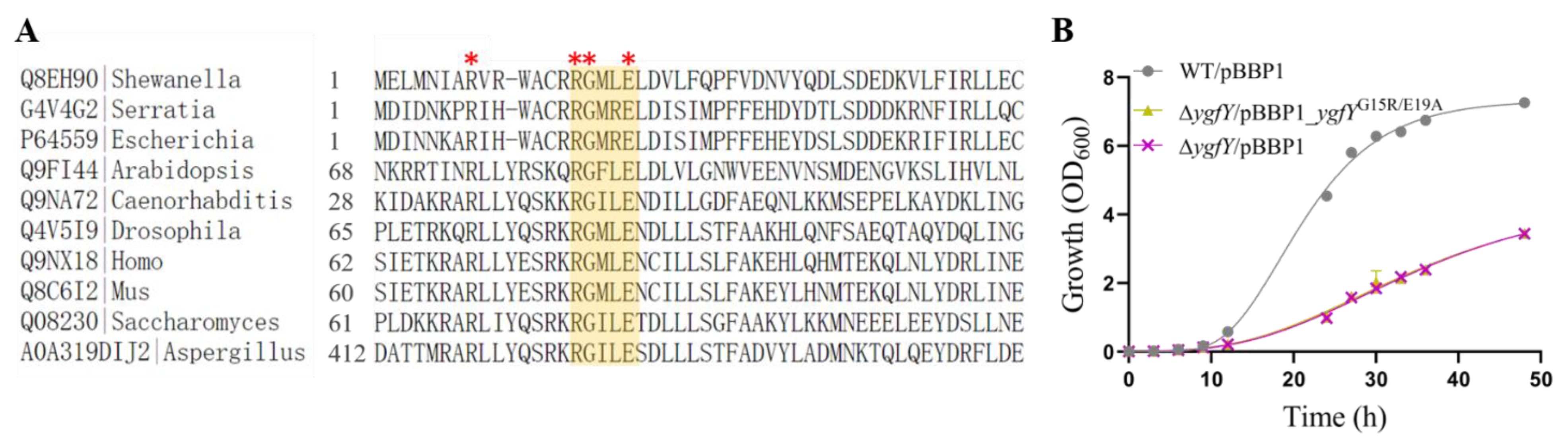 Microorganisms 09 02316 g006 550