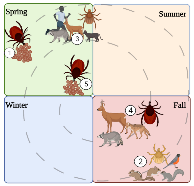 Microorganisms 09 02317 g005 Microorganisms 09 02317 g005