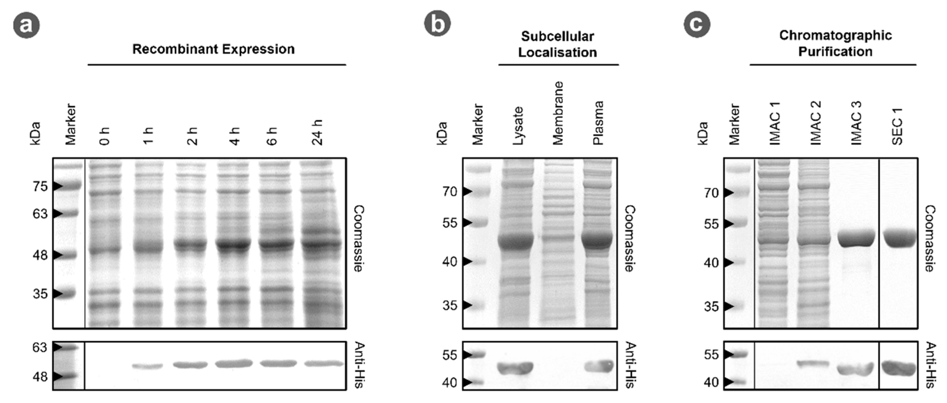 Microorganisms 09 02318 g001 Microorganisms 09 02318 g001
