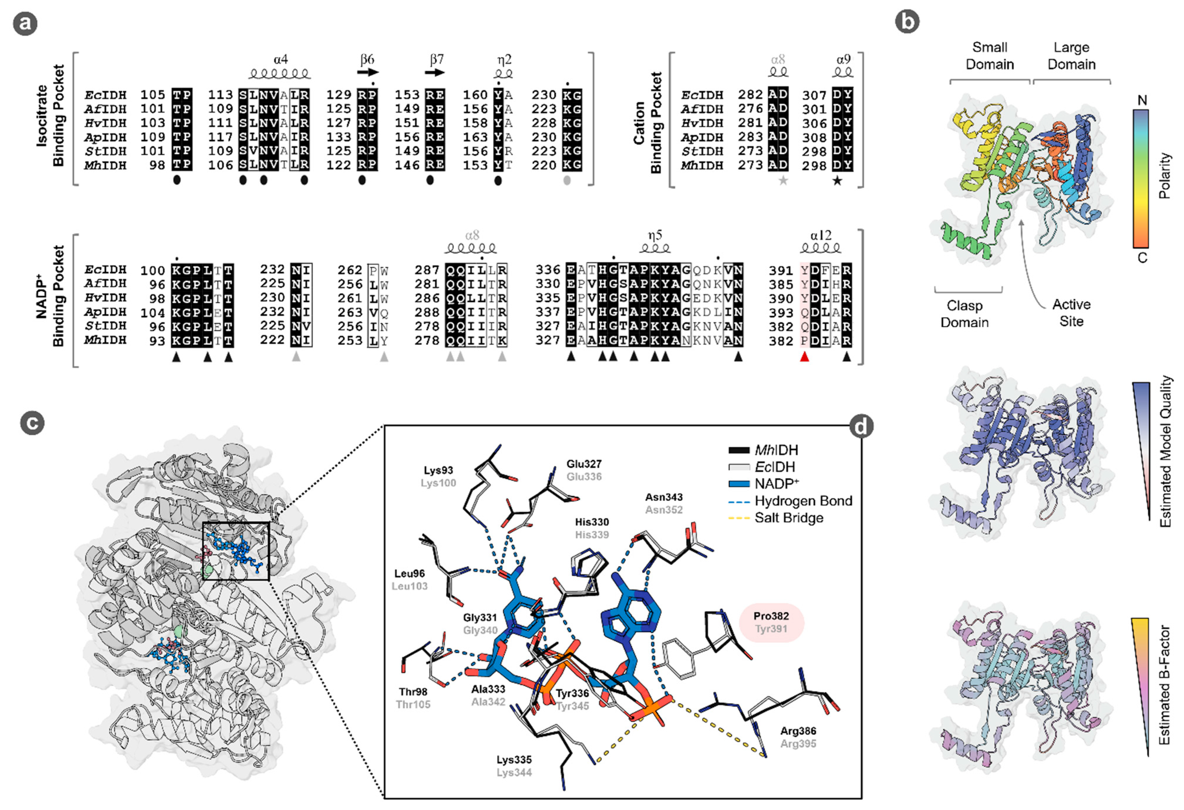 Microorganisms 09 02318 g005 Microorganisms 09 02318 g005