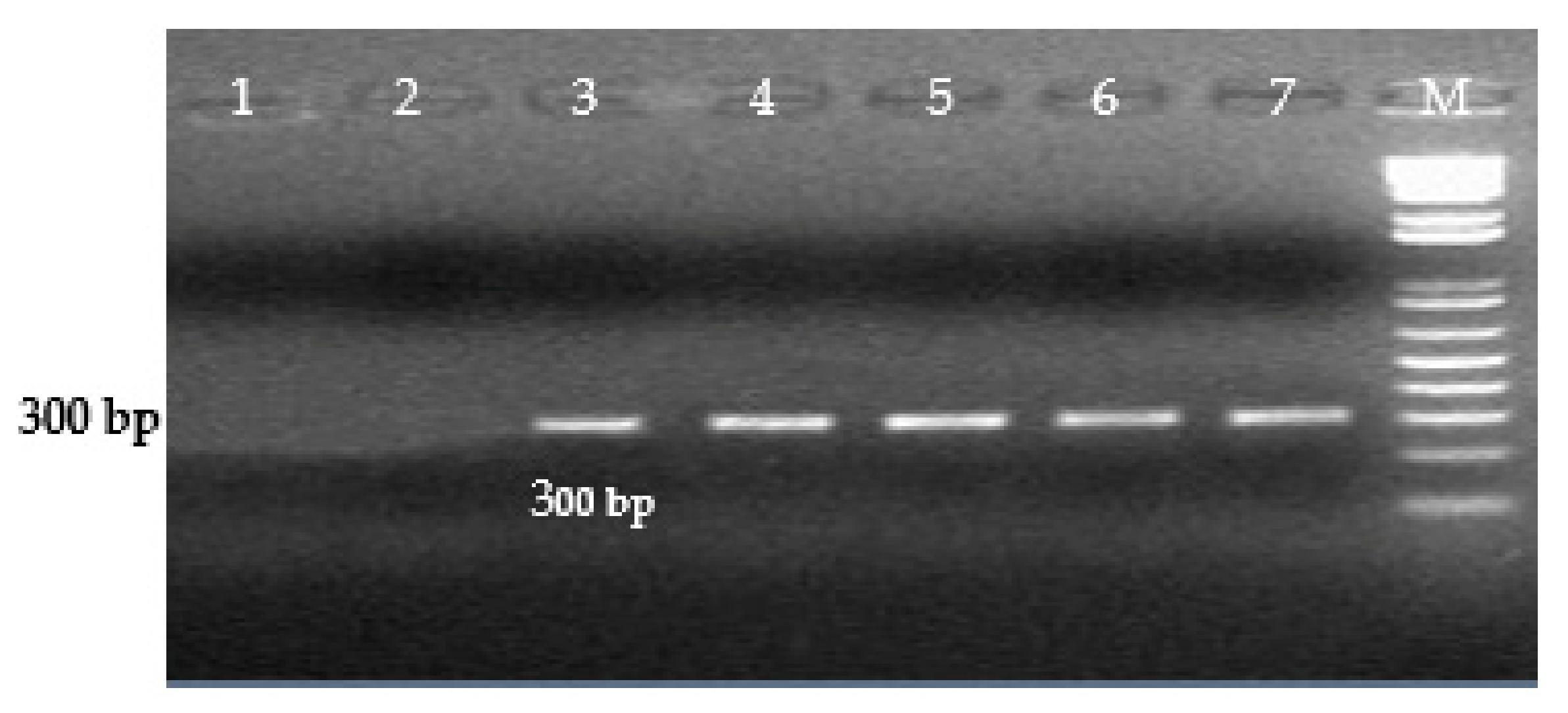 Microorganisms 09 02319 g002