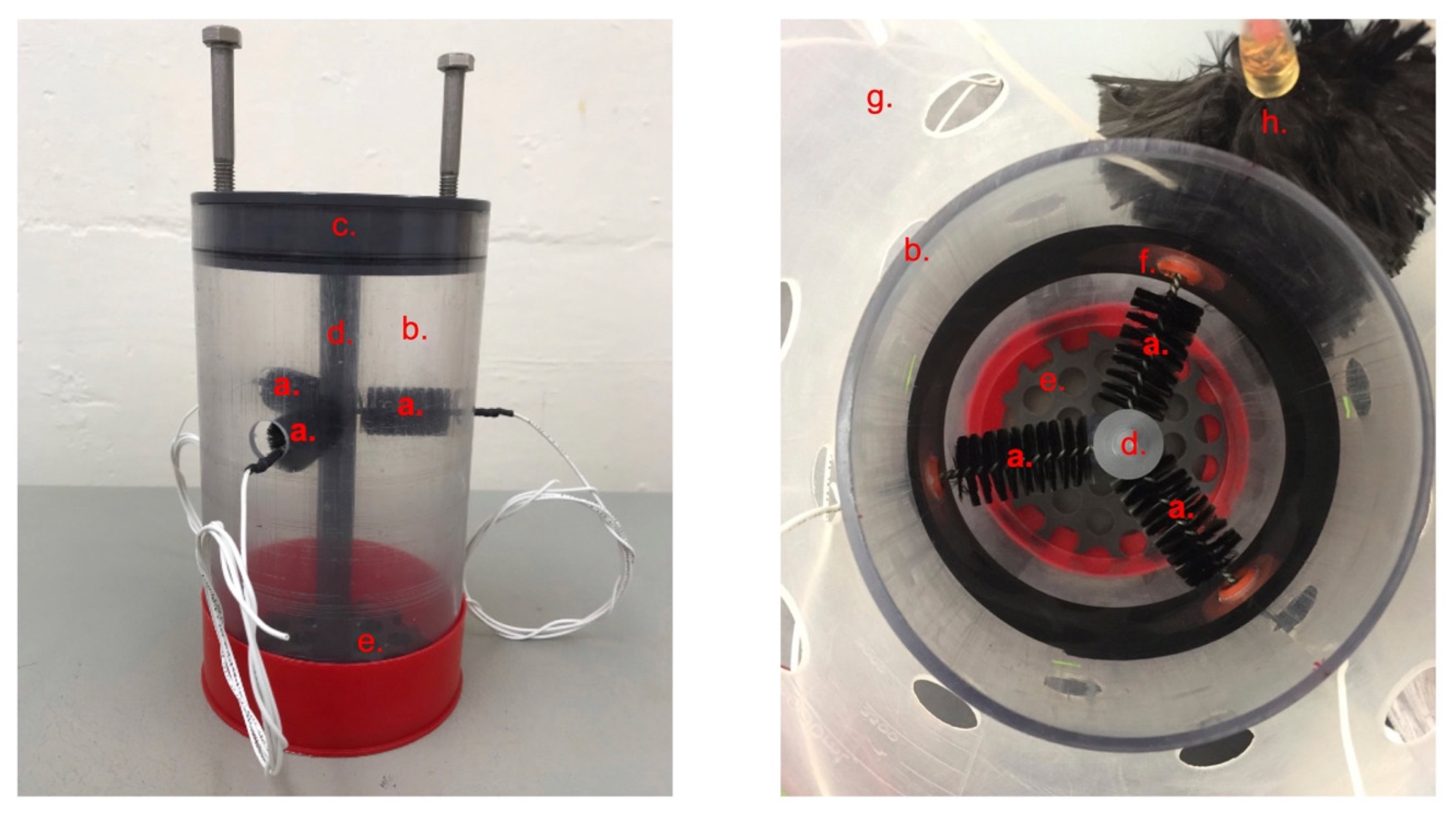 Microorganisms 09 02329 g001