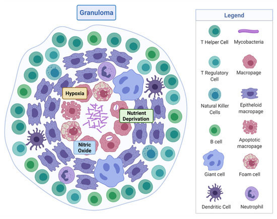 Microorganisms | Free Full-Text | Microfluidics as a Novel ...