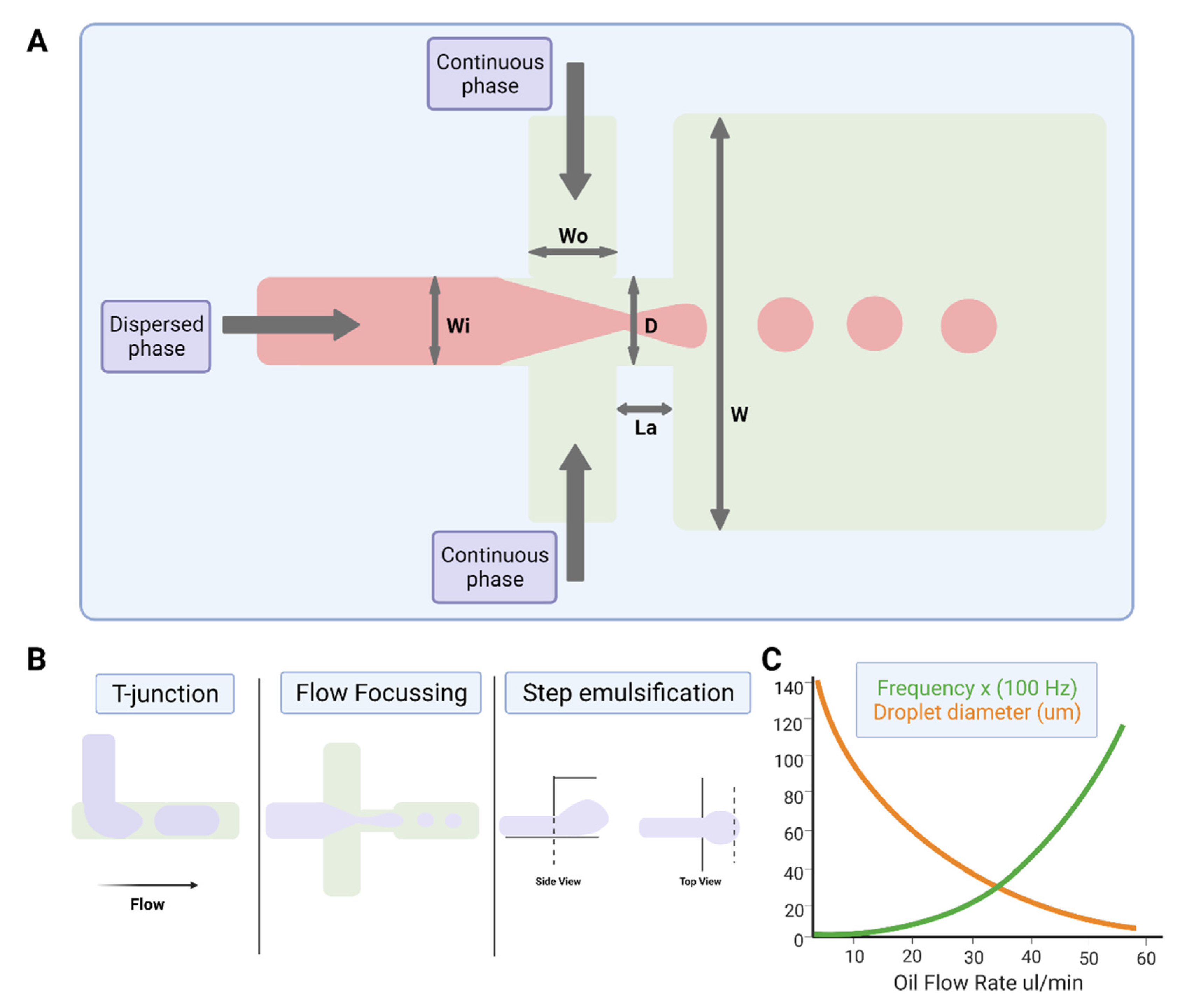 Microorganisms 09 02330 g002 Microorganisms 09 02330 g002