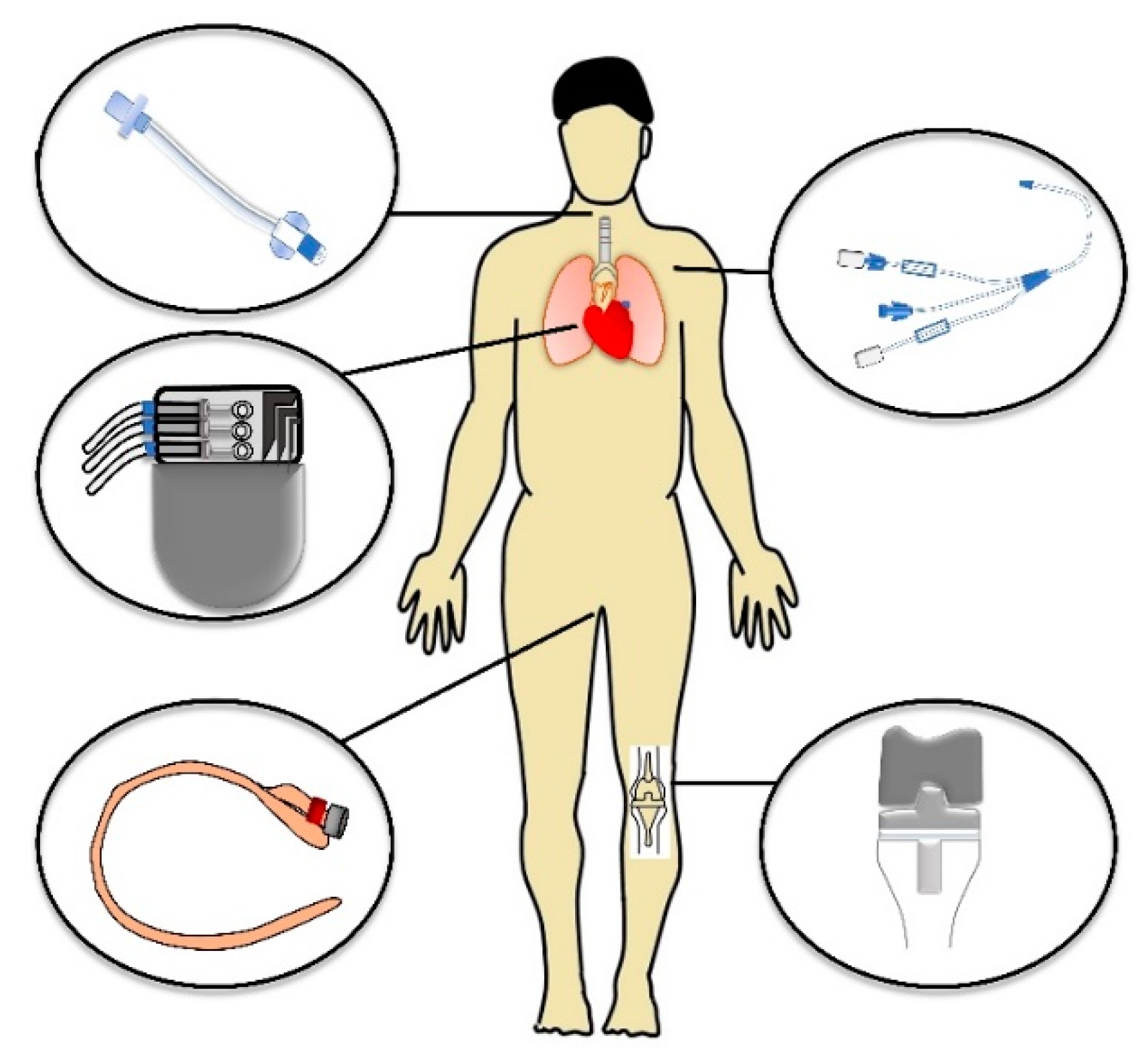Microorganisms 09 02332 g001