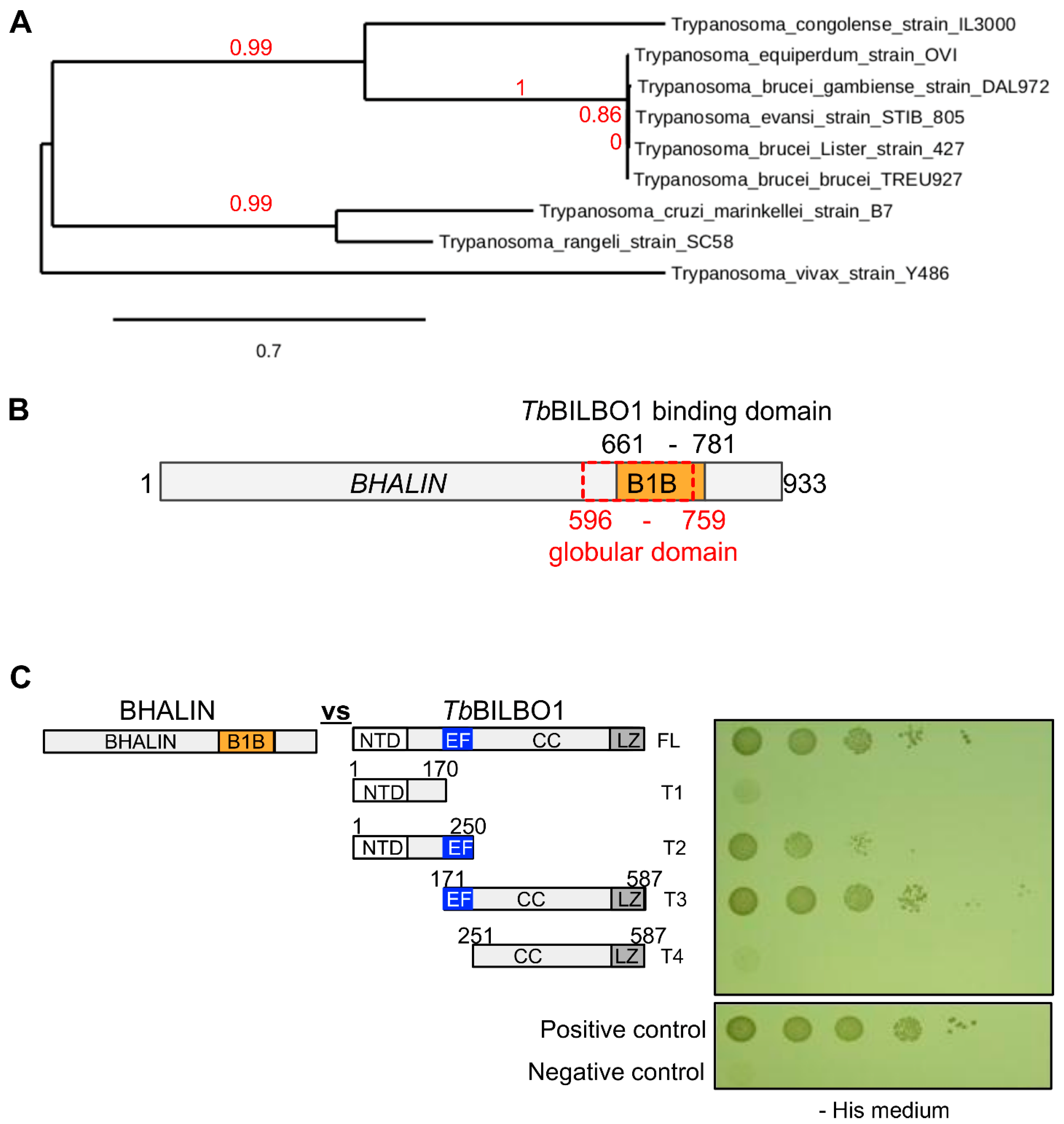 Microorganisms 09 02334 g001 550