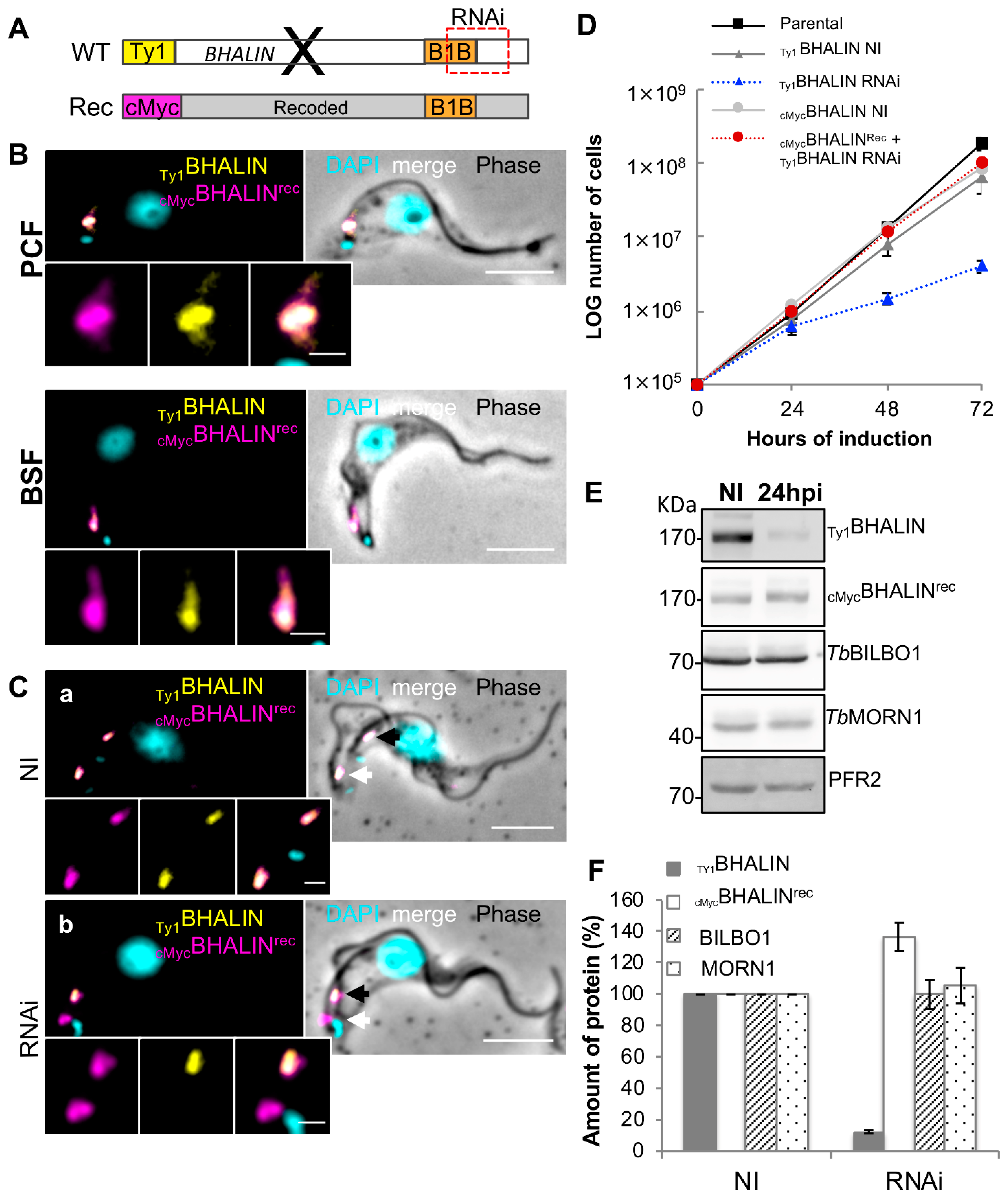 Microorganisms 09 02334 g006 550