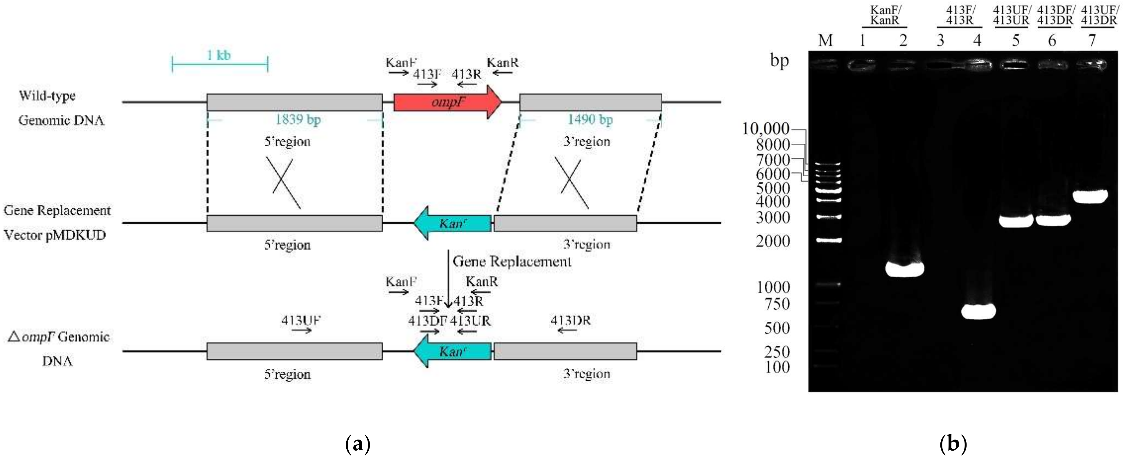 Microorganisms 09 02338 g001 Microorganisms 09 02338 g001