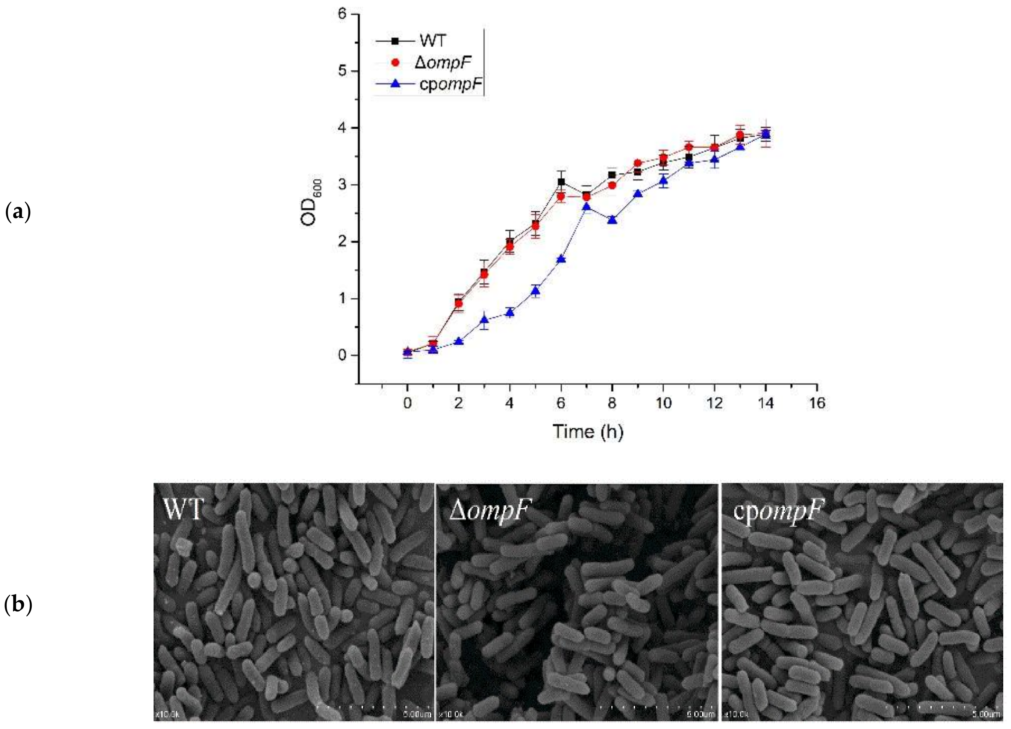 Microorganisms 09 02338 g002 Microorganisms 09 02338 g002