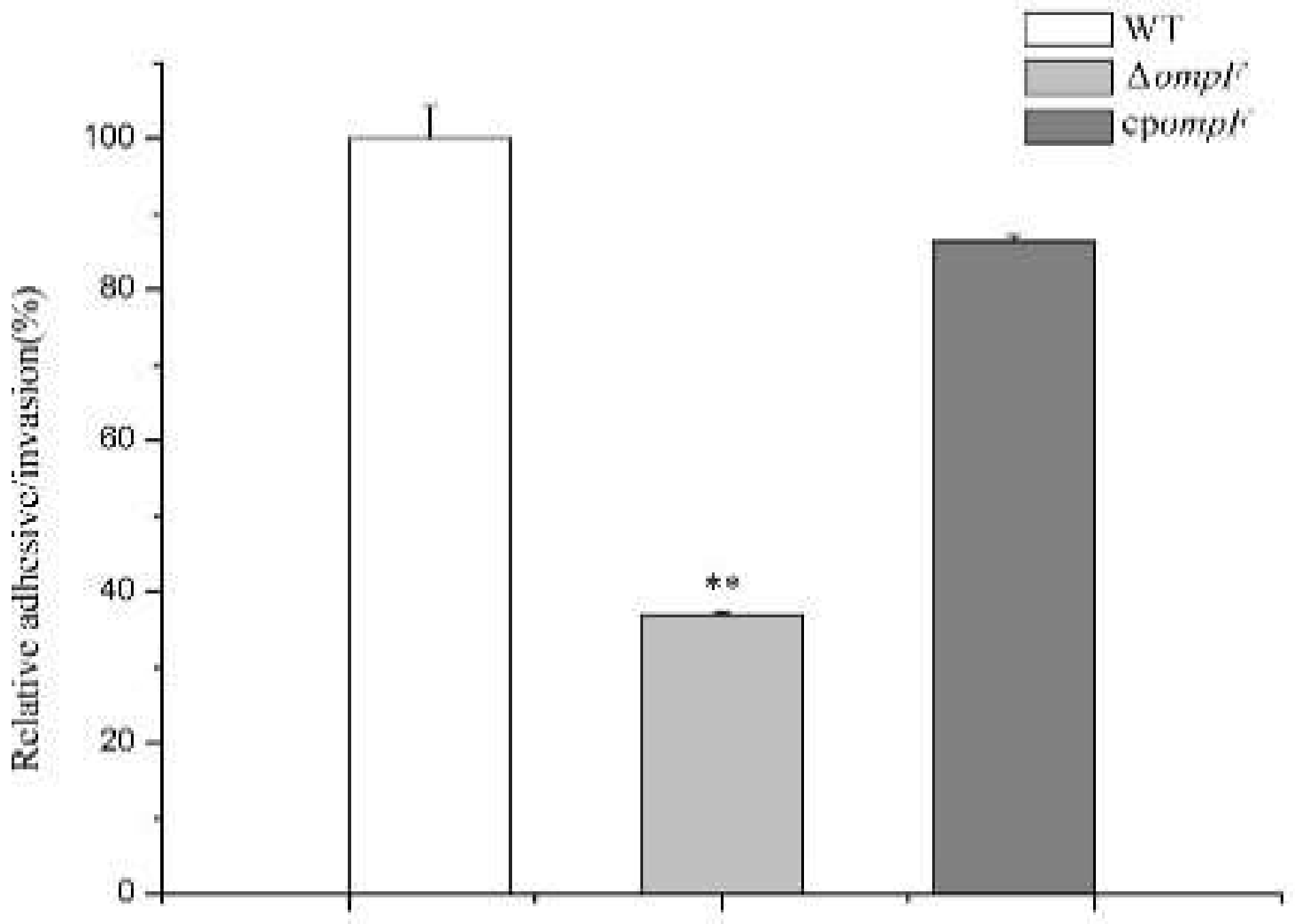 Microorganisms 09 02338 g006 Microorganisms 09 02338 g006