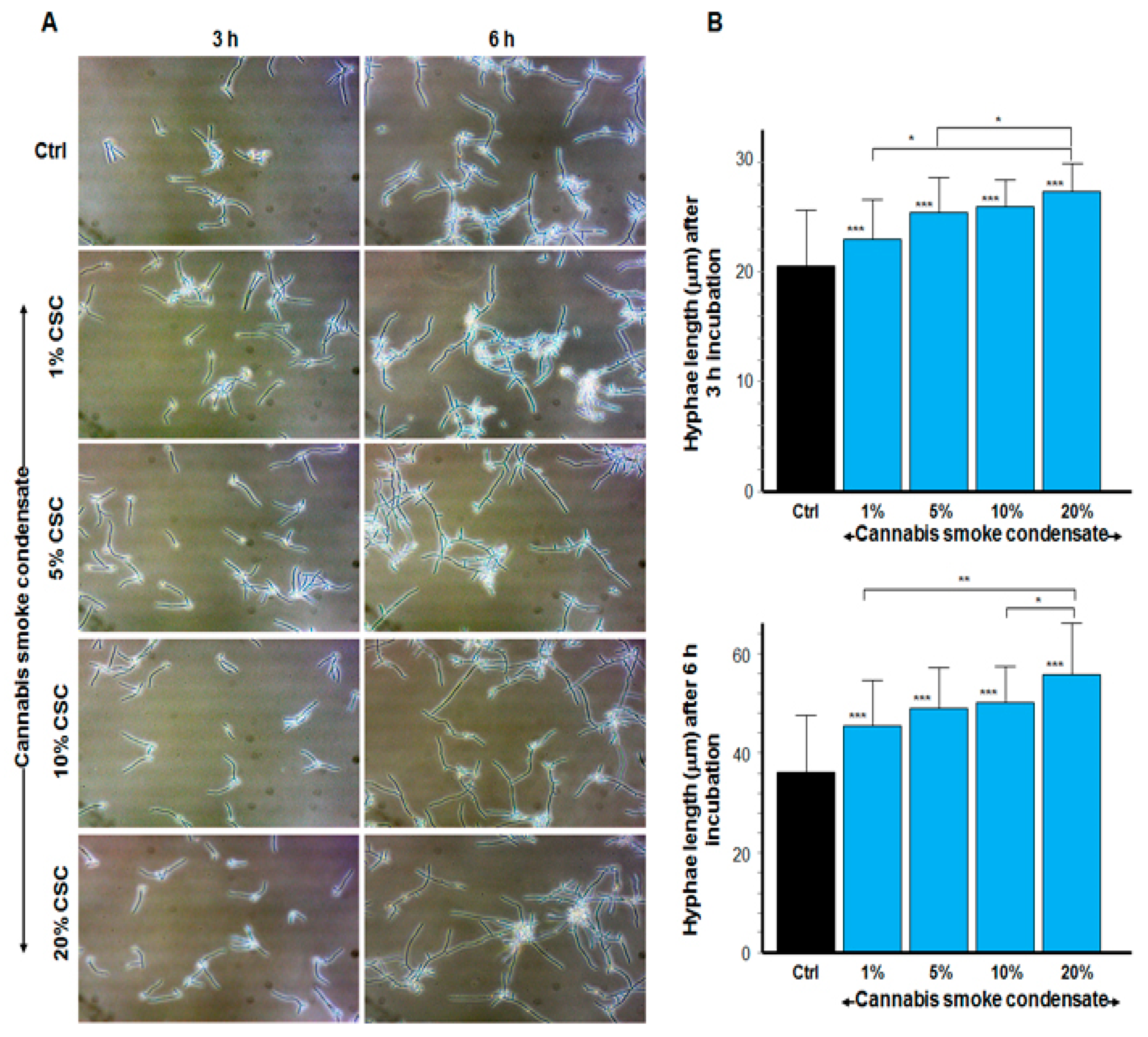 Microorganisms 09 02348 g002