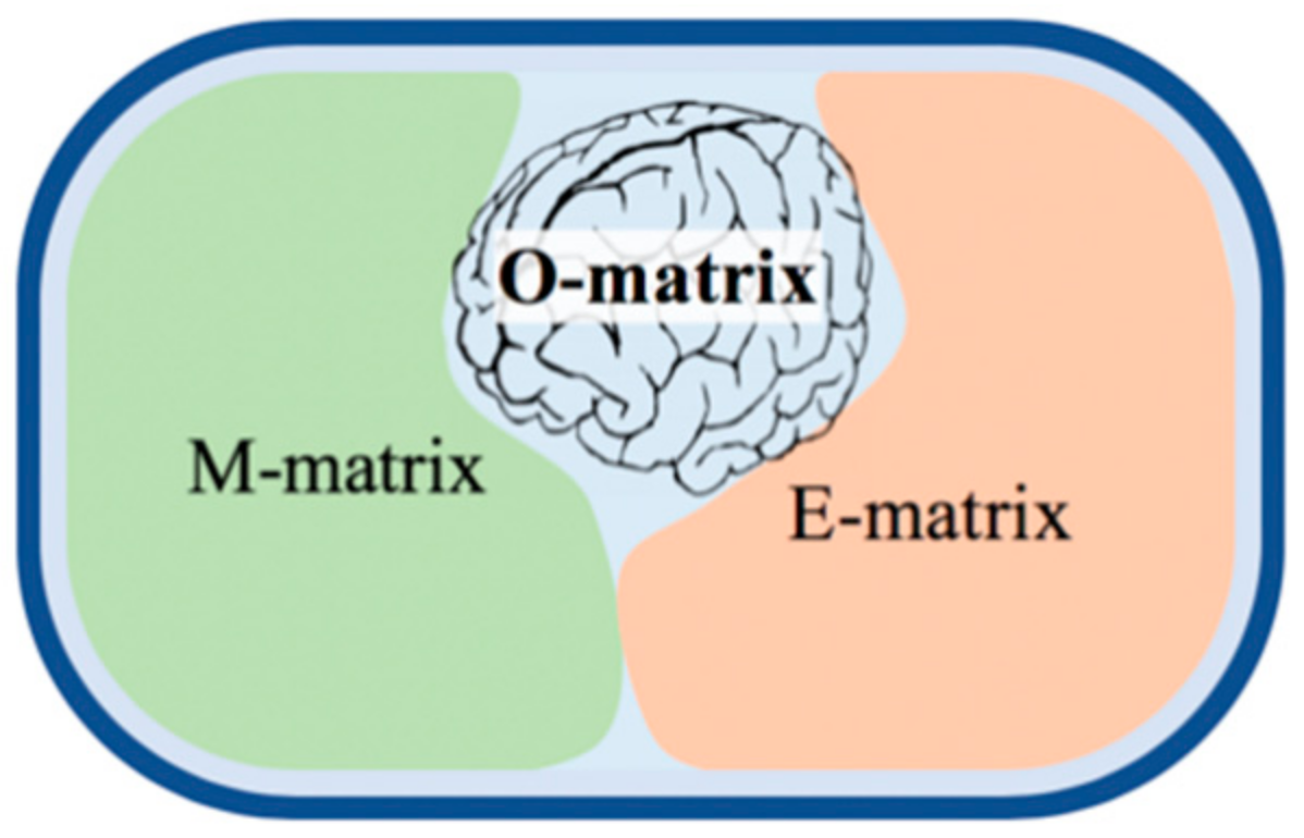 Microorganisms 09 02352 g006 Microorganisms 09 02352 g006