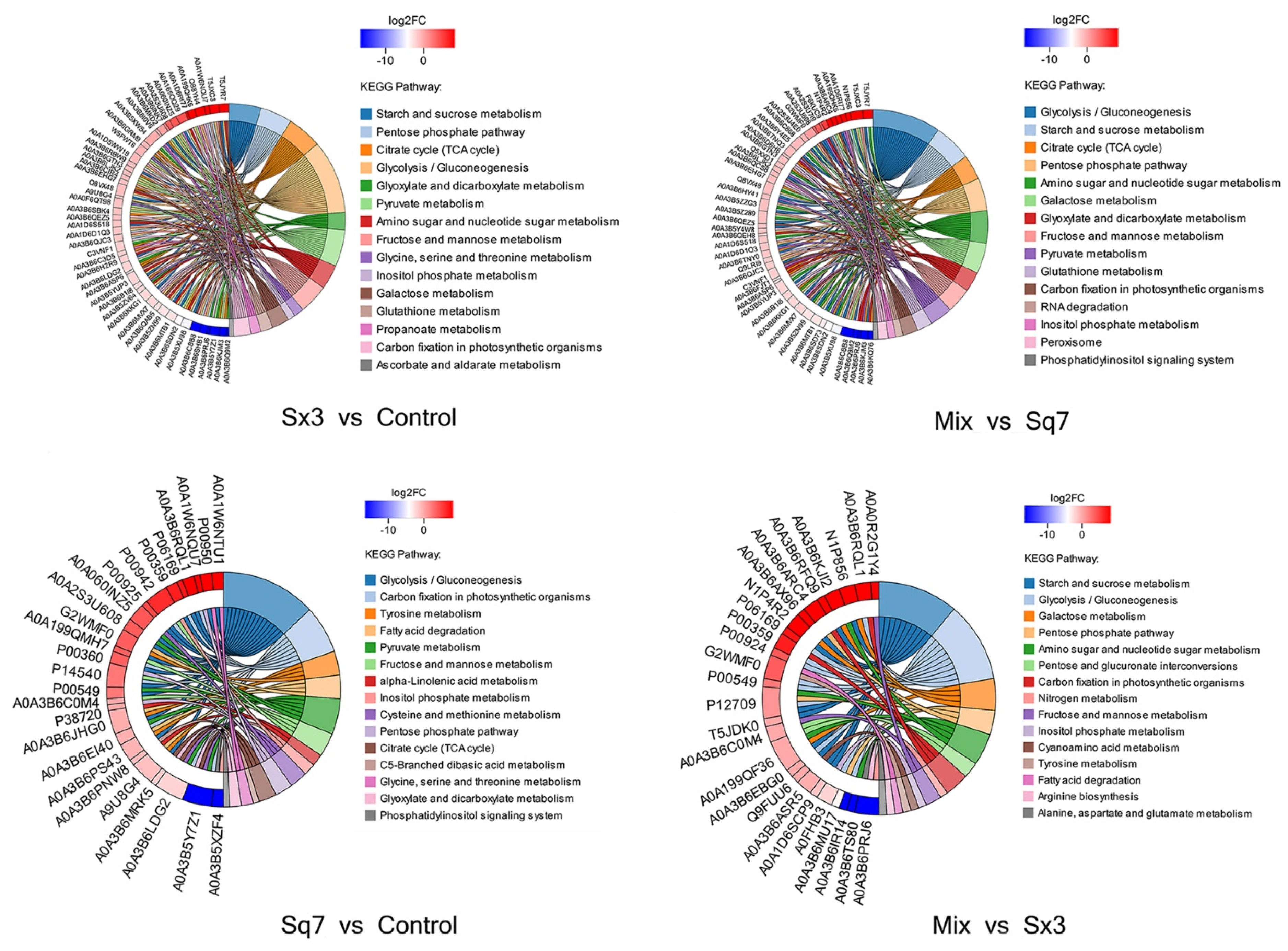 Microorganisms 09 02353 g004