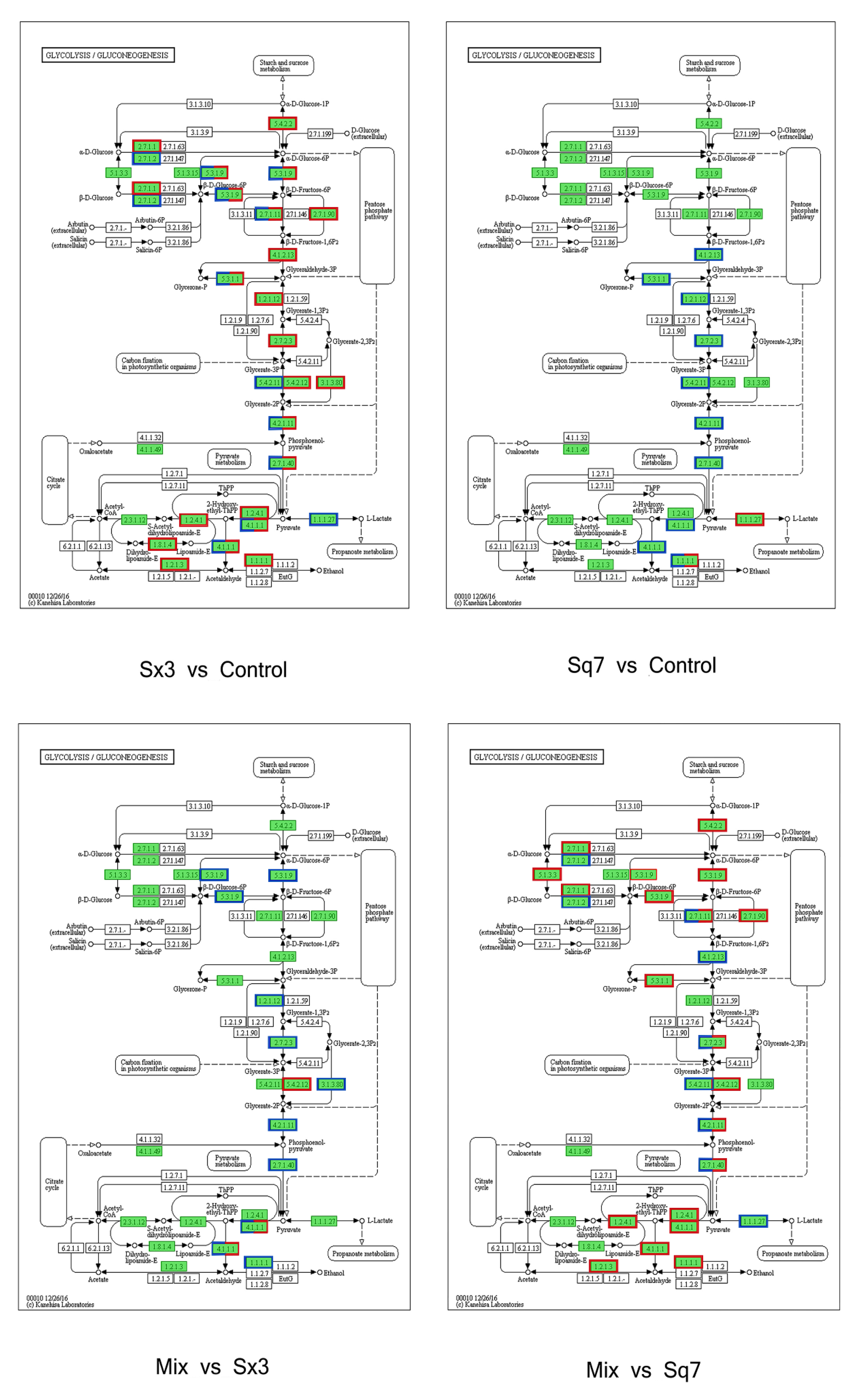 Microorganisms 09 02353 g005