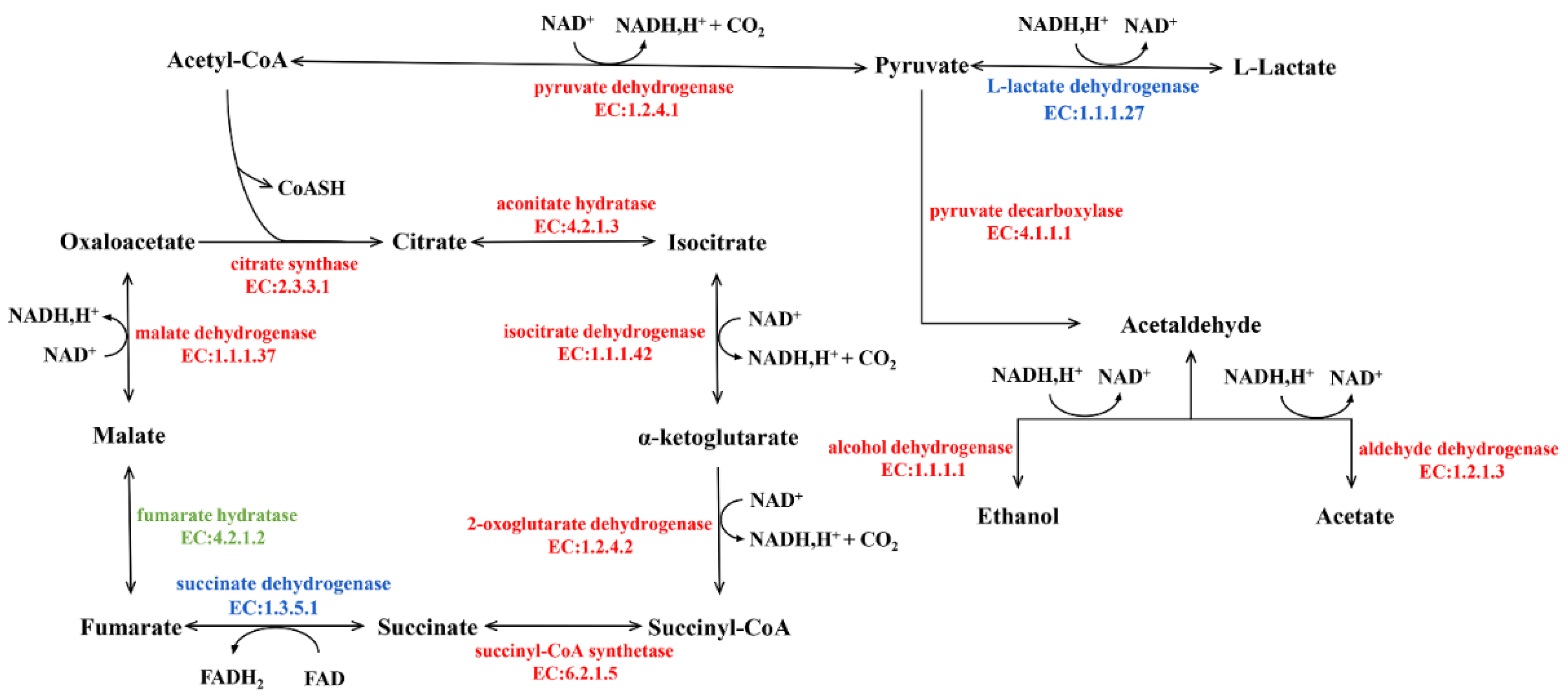 Microorganisms 09 02353 g006