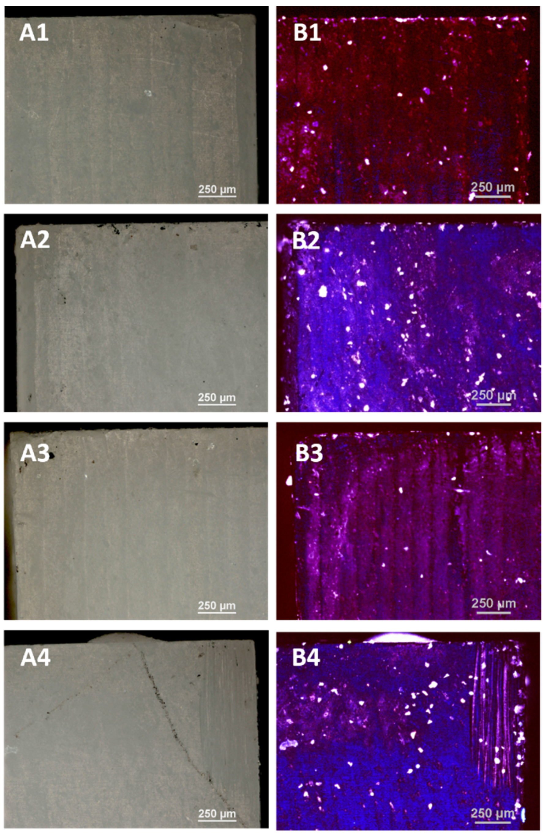 Microorganisms 09 02359 g002 550