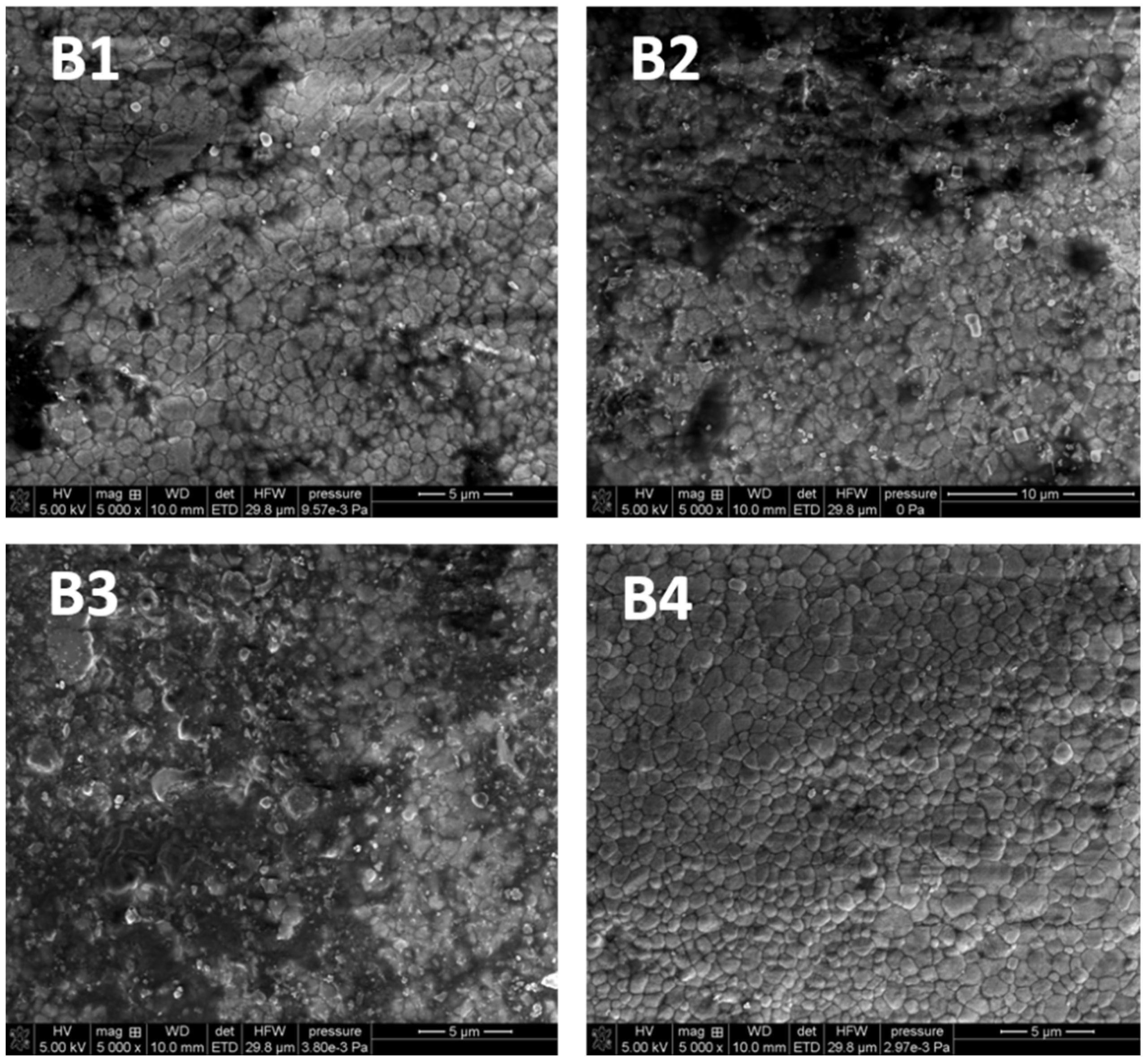 Microorganisms 09 02359 g004 550