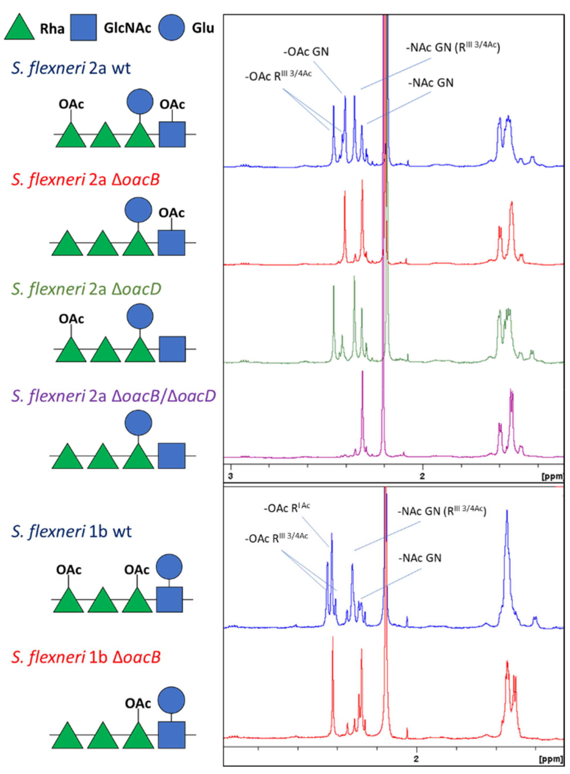 Microorganisms 09 02360 g001