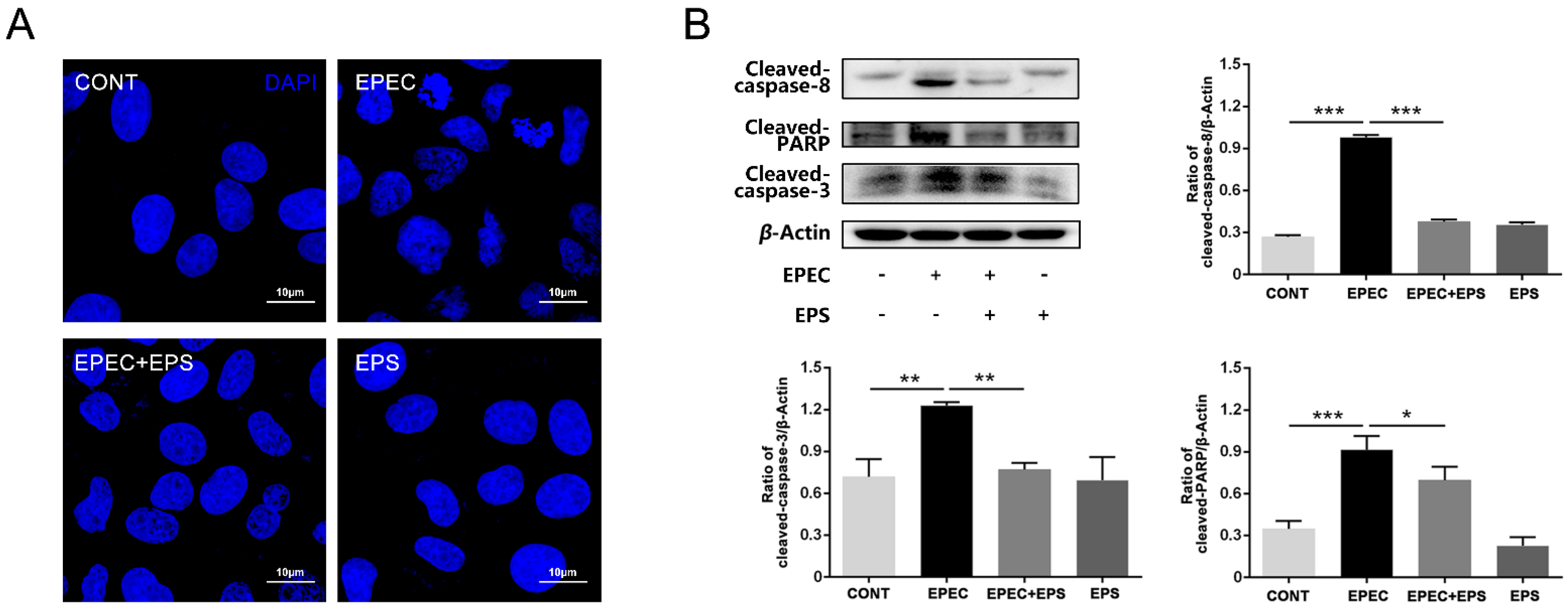 Microorganisms 09 02363 g002