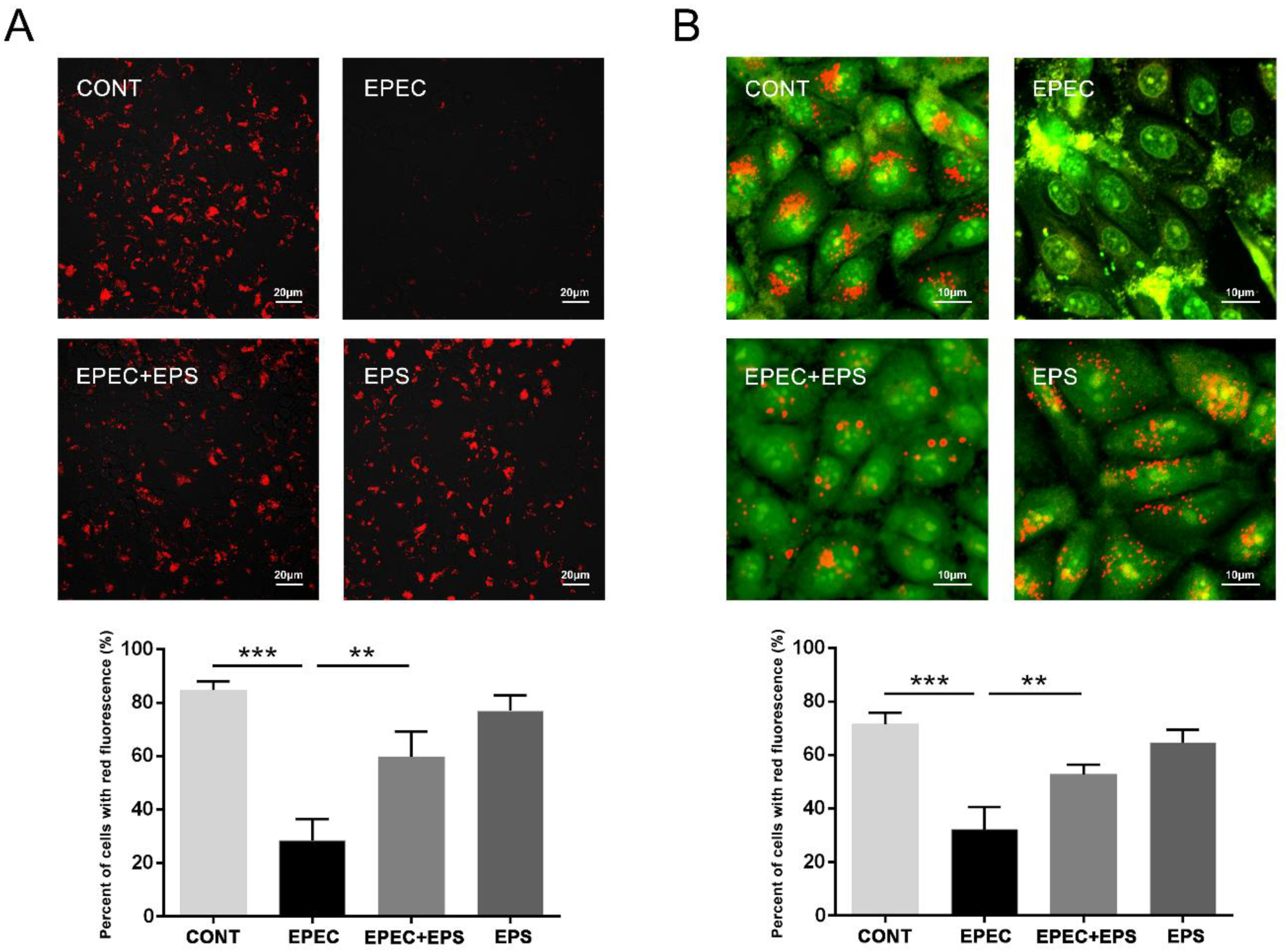 Microorganisms 09 02363 g004
