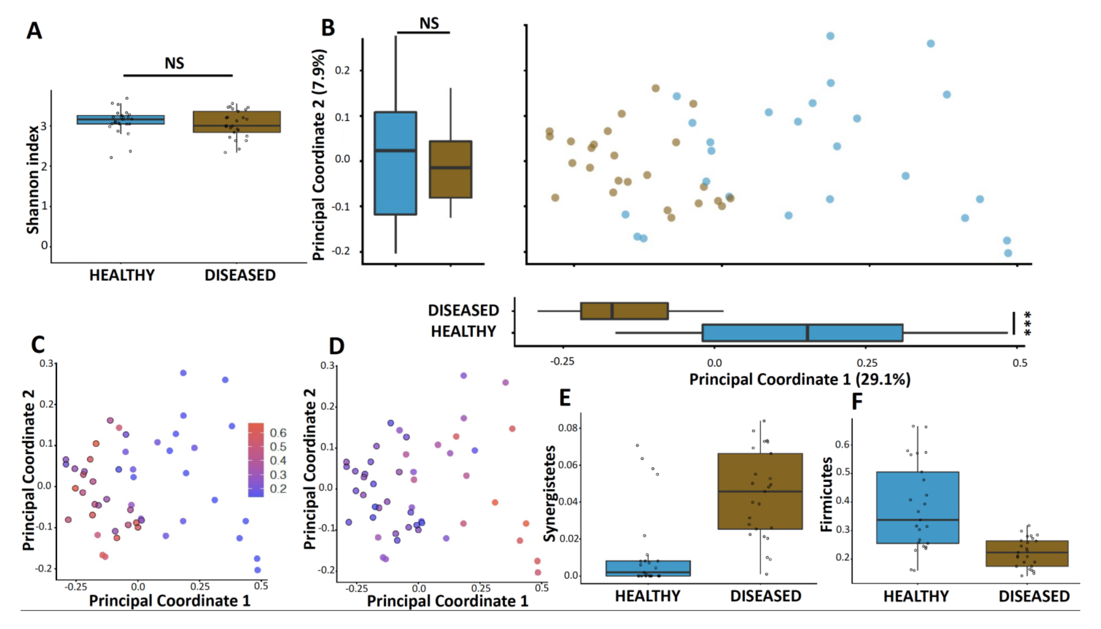 Microorganisms 09 02364 g001