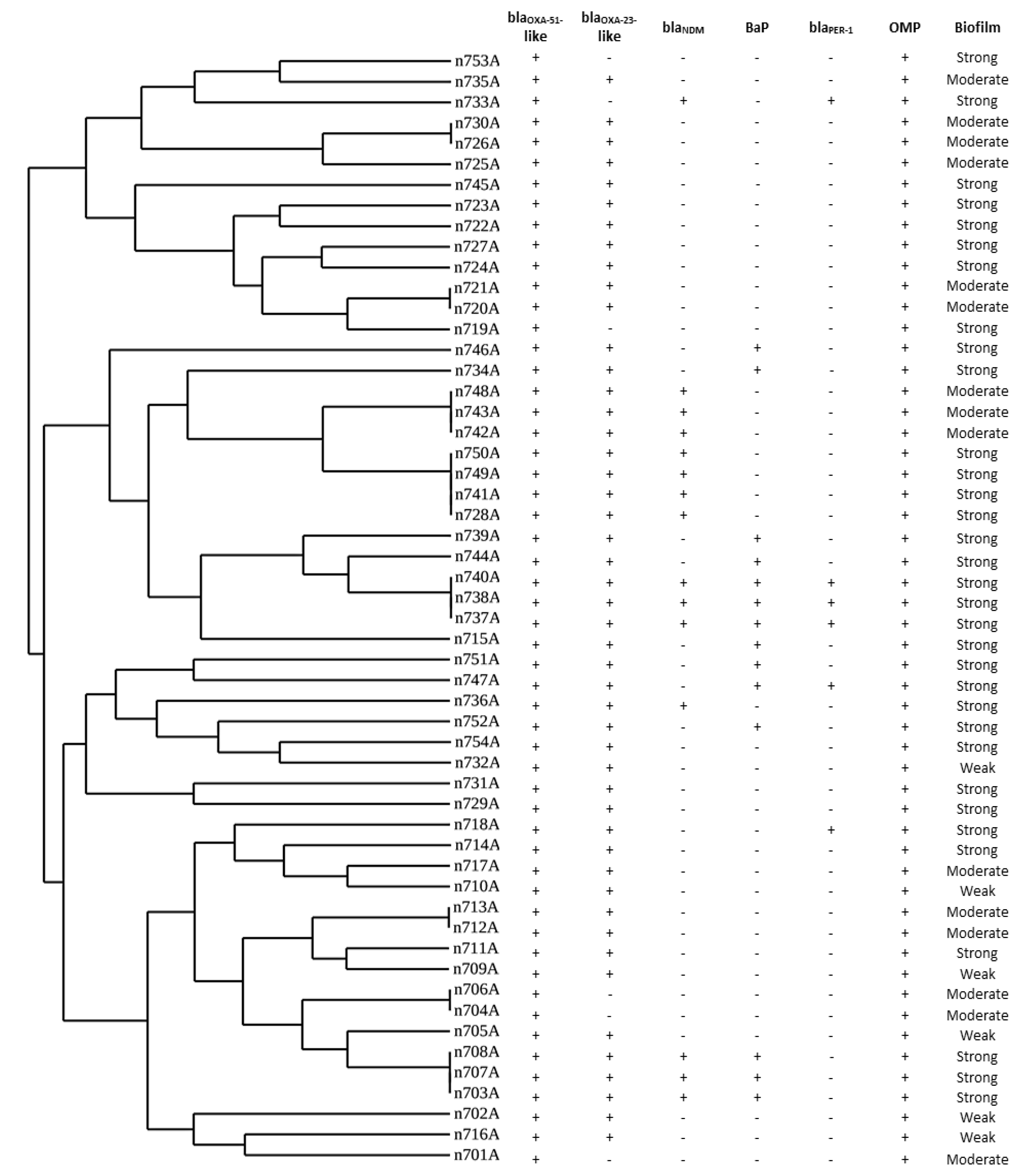 Microorganisms 09 02365 g001