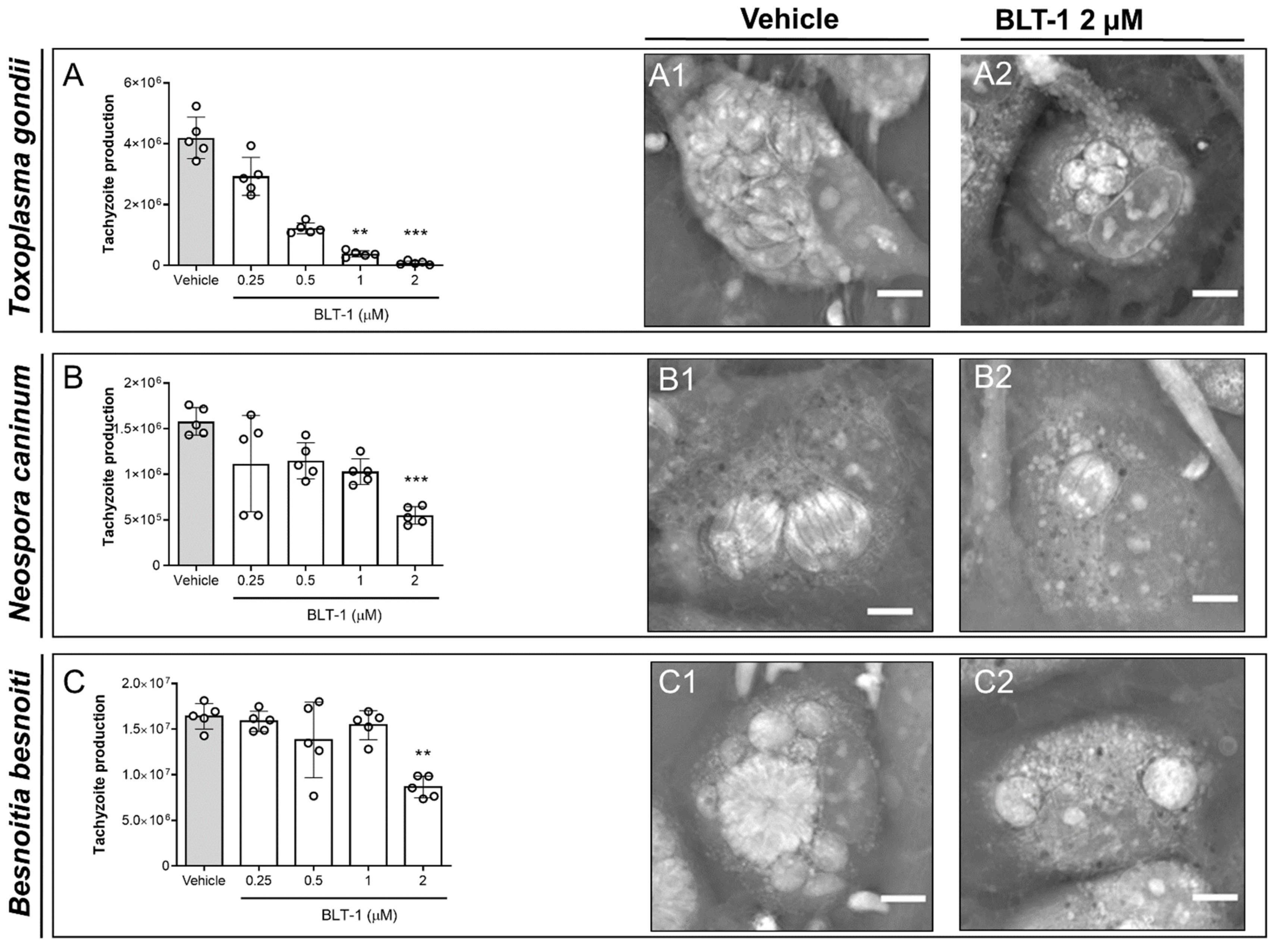 Microorganisms 09 02372 g001 Microorganisms 09 02372 g001