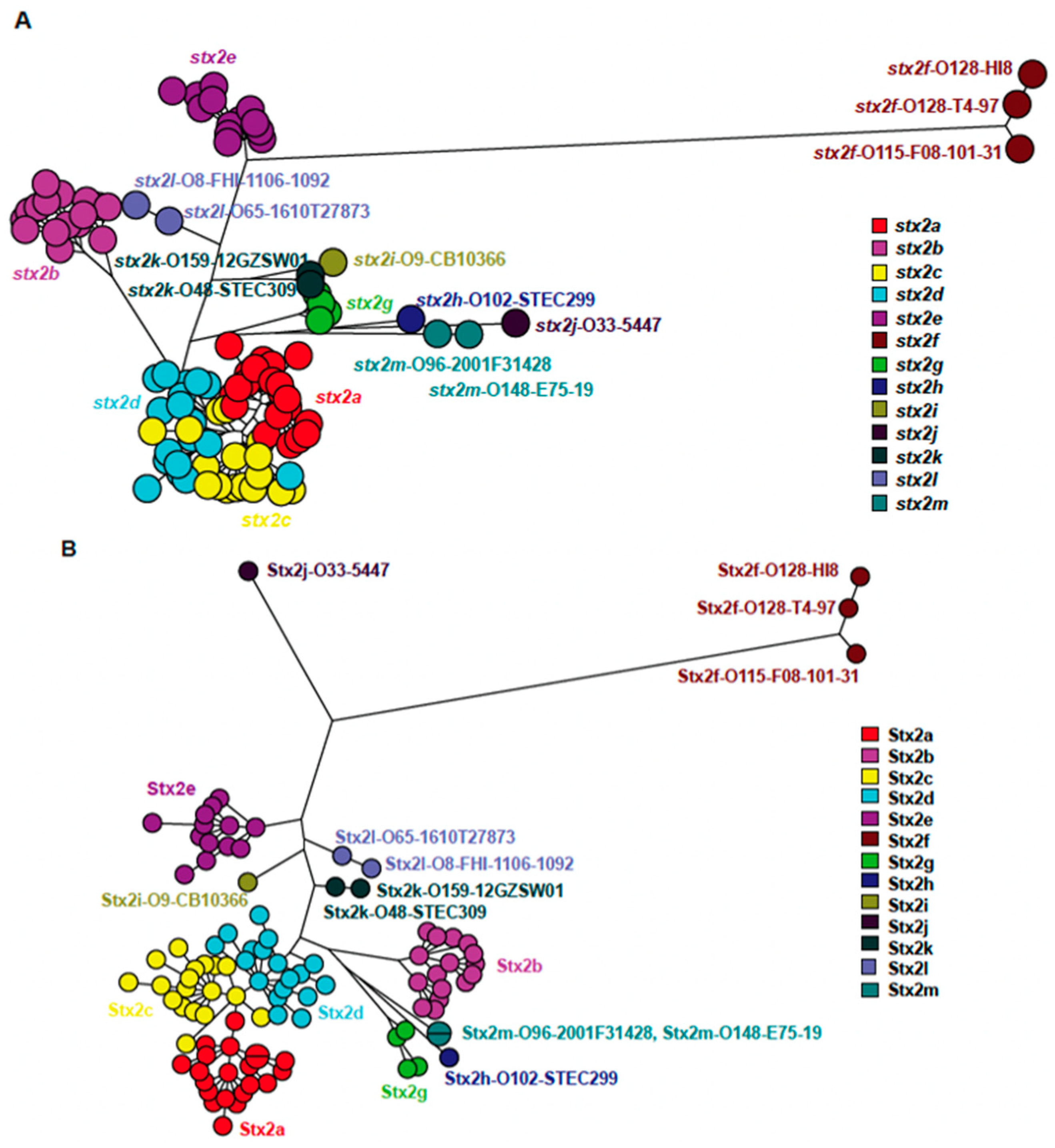 Microorganisms 09 02374 g001