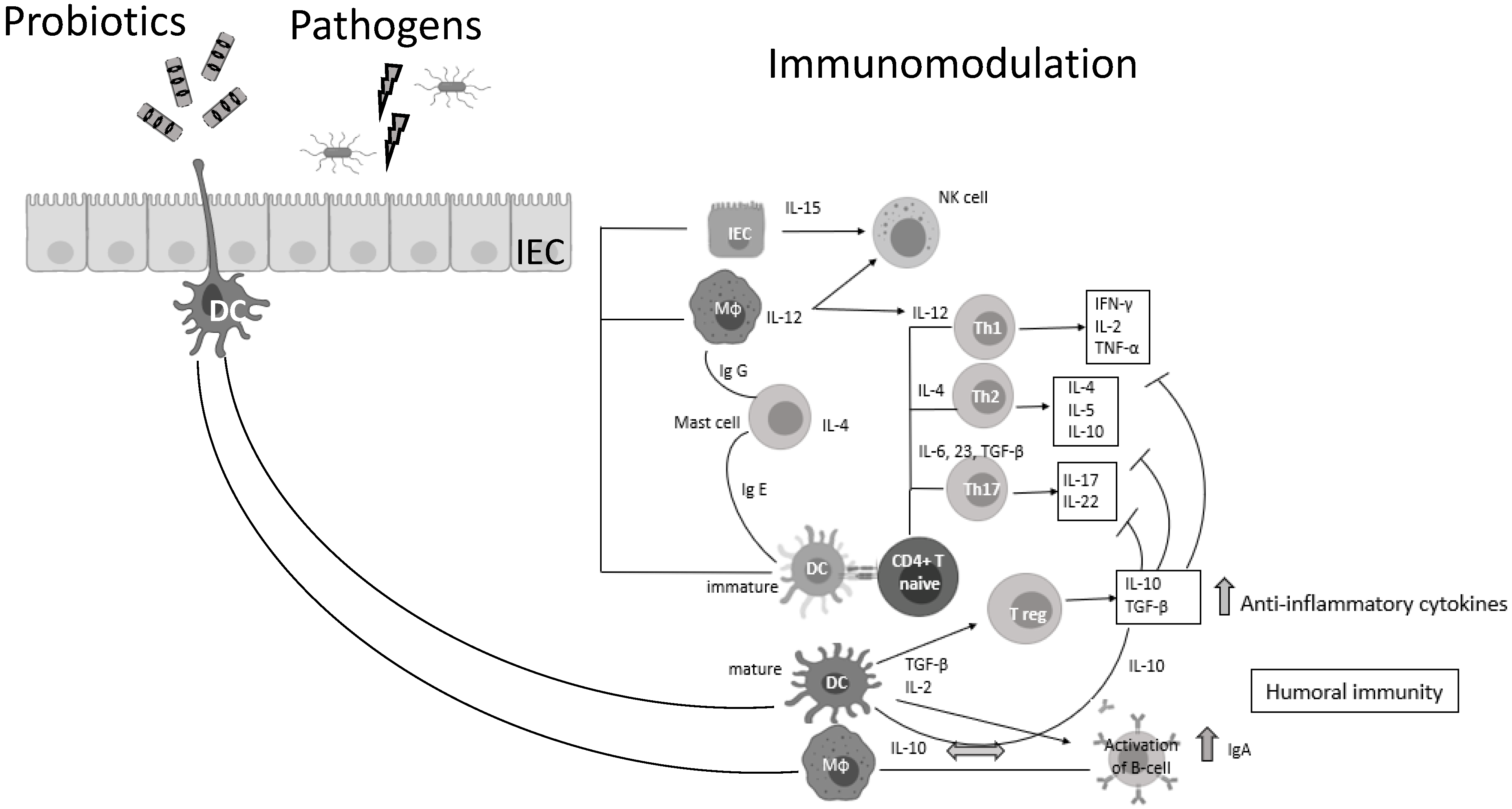 Microorganisms 09 02376 g001