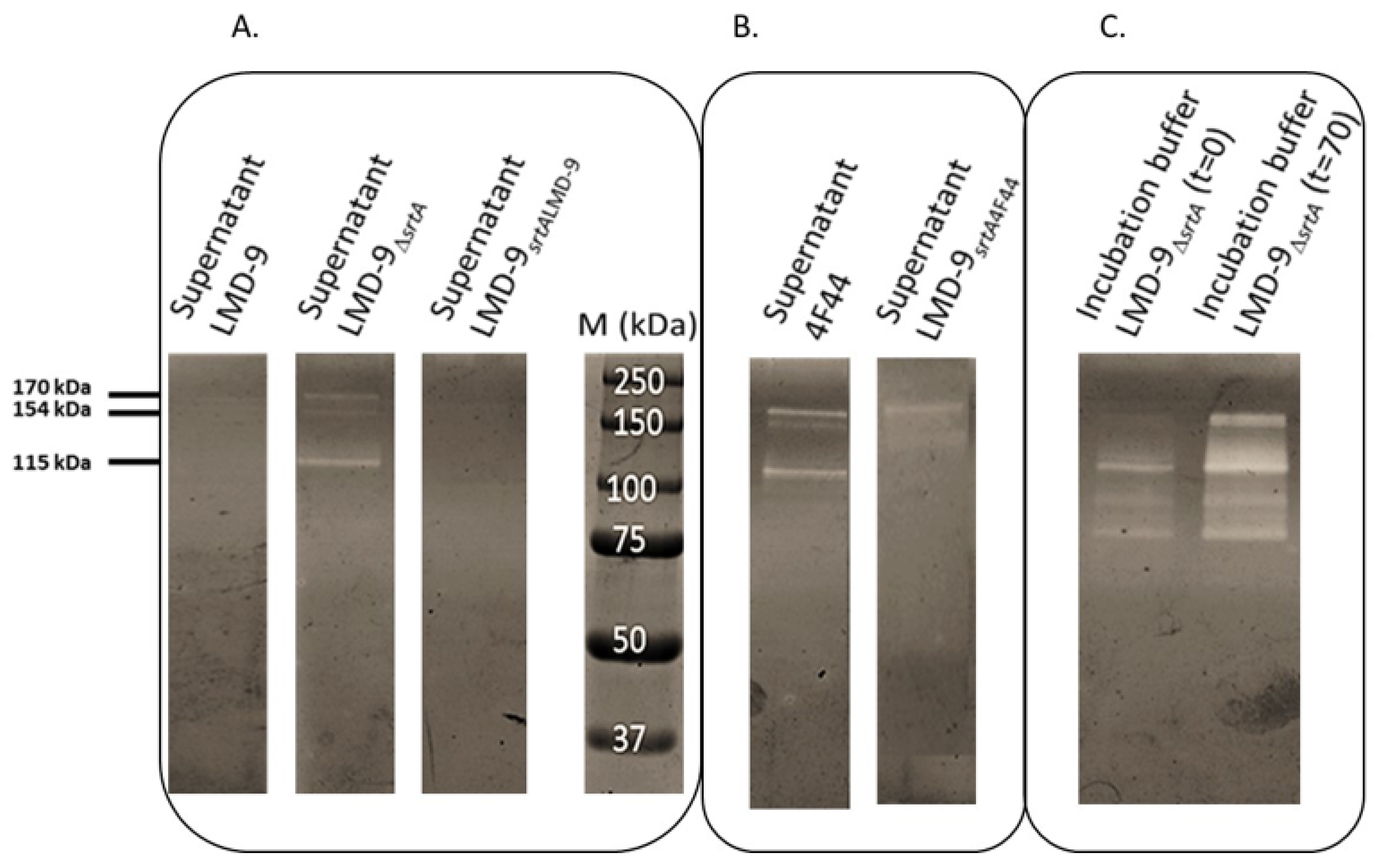 Microorganisms 09 02380 g002 Microorganisms 09 02380 g002